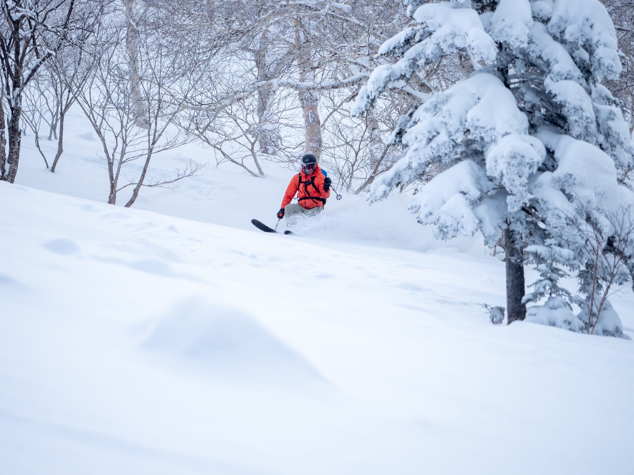 A snowboarder in red rides powder between snow-loaded firs on the west face of Furano-dake