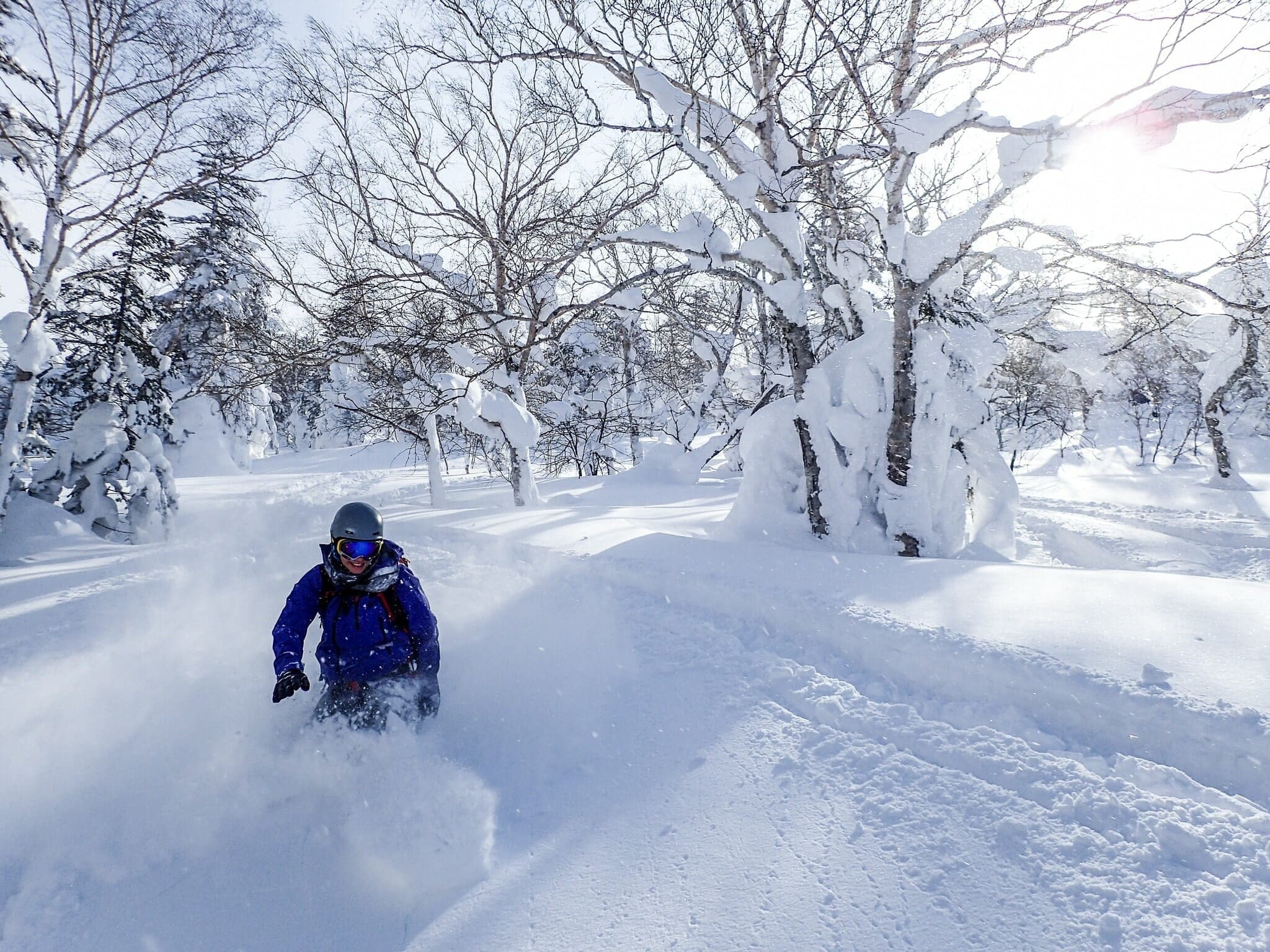 A skier sprays powder through snow-loaded trees on Furano-dake's Giant Ridge