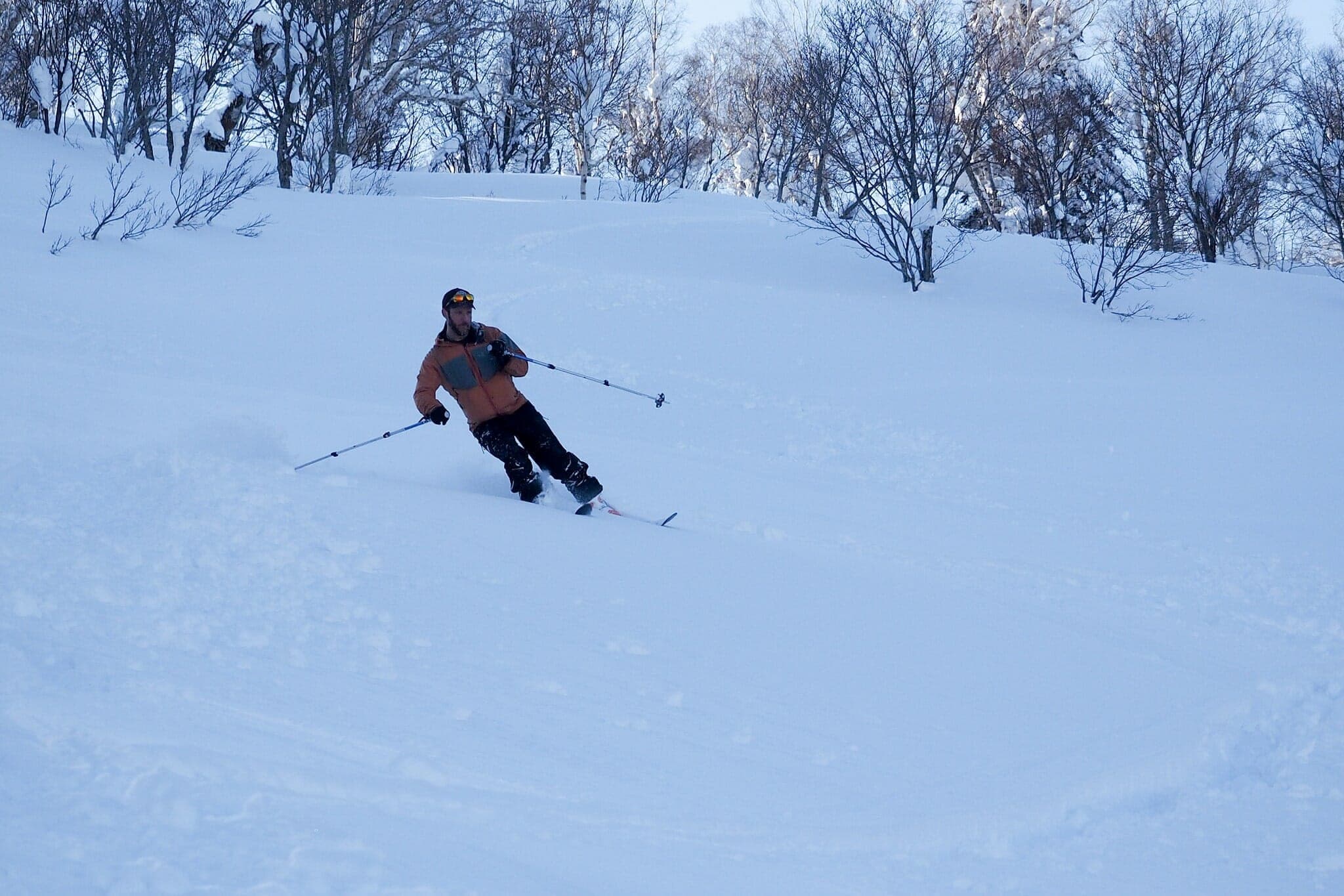 A skier turns through powder among bare trees on Haruka-yama above Otaru