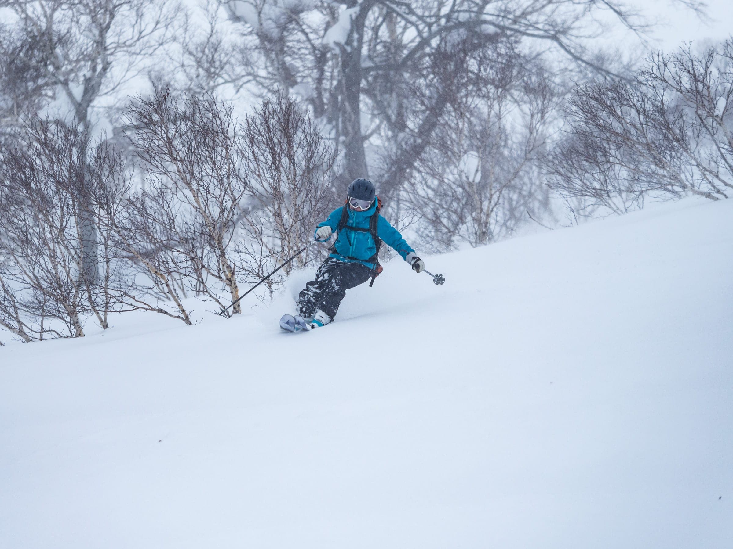 A snowboarder in blue rides powder among bare trees on Iwanai-dake
