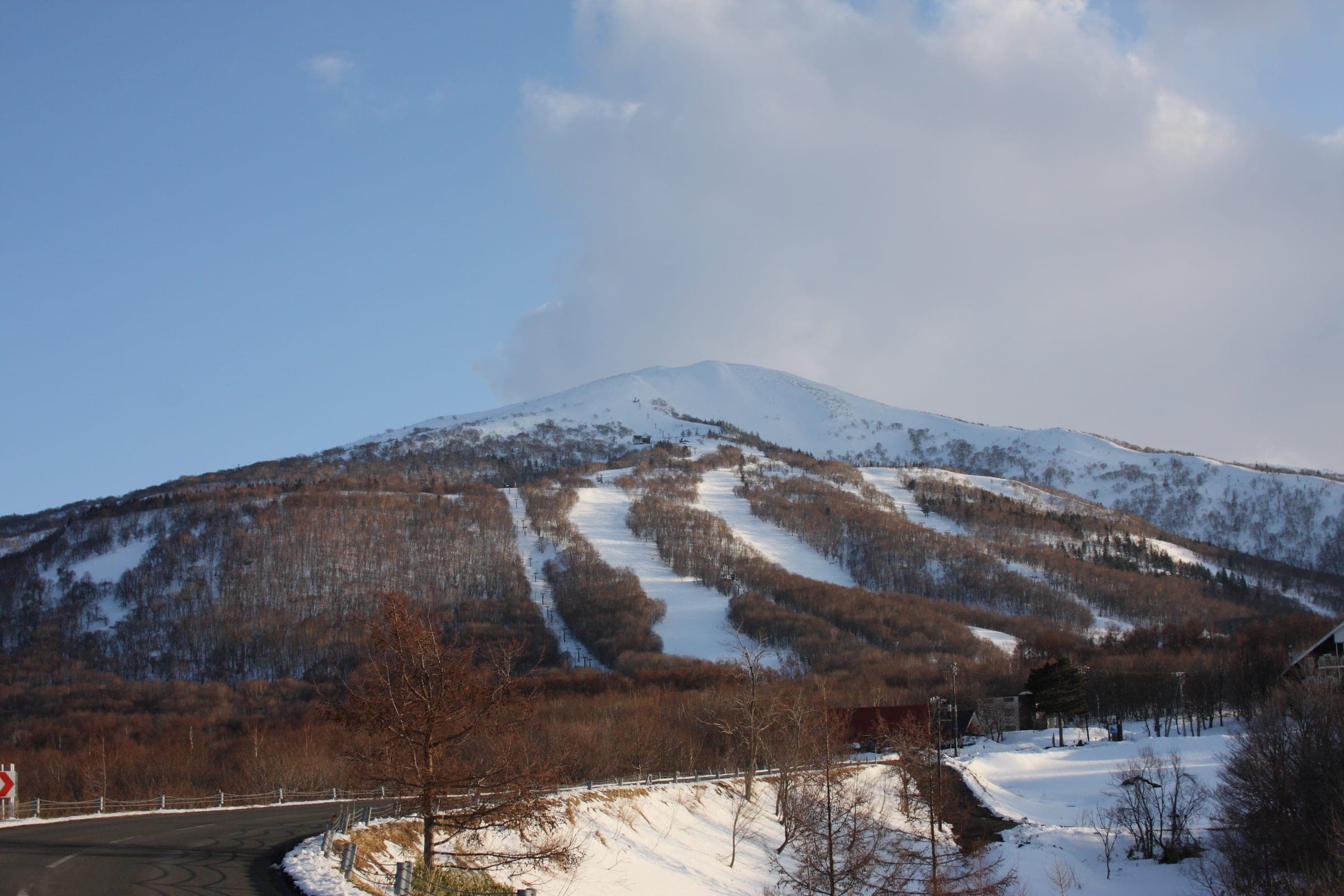 Ski runs cut through bare forest on the snowy flanks of Iwanai-dake under a blue sky
