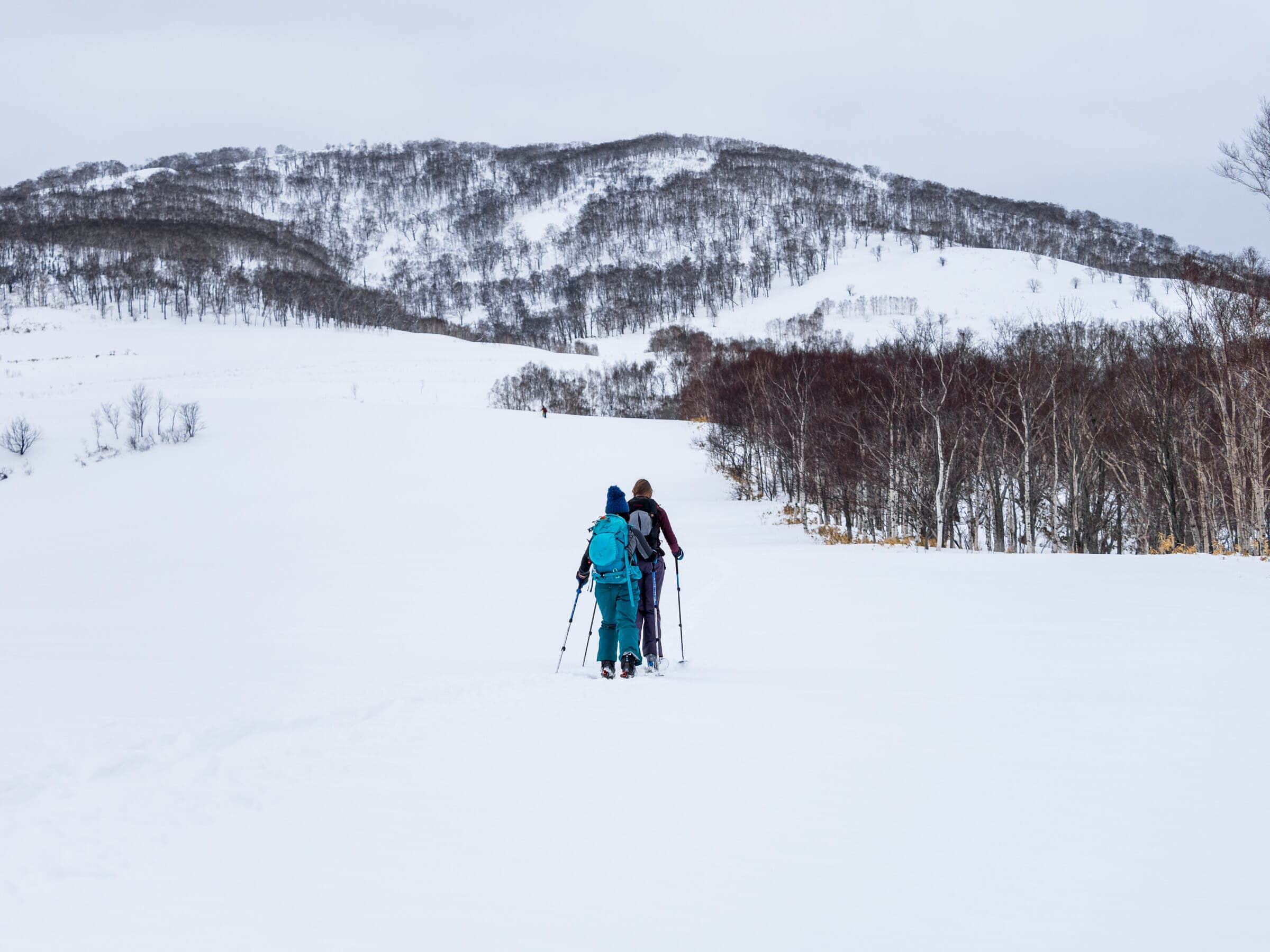 Two ski tourers skin up an open slope on the south approach to Nishikonbu-dake