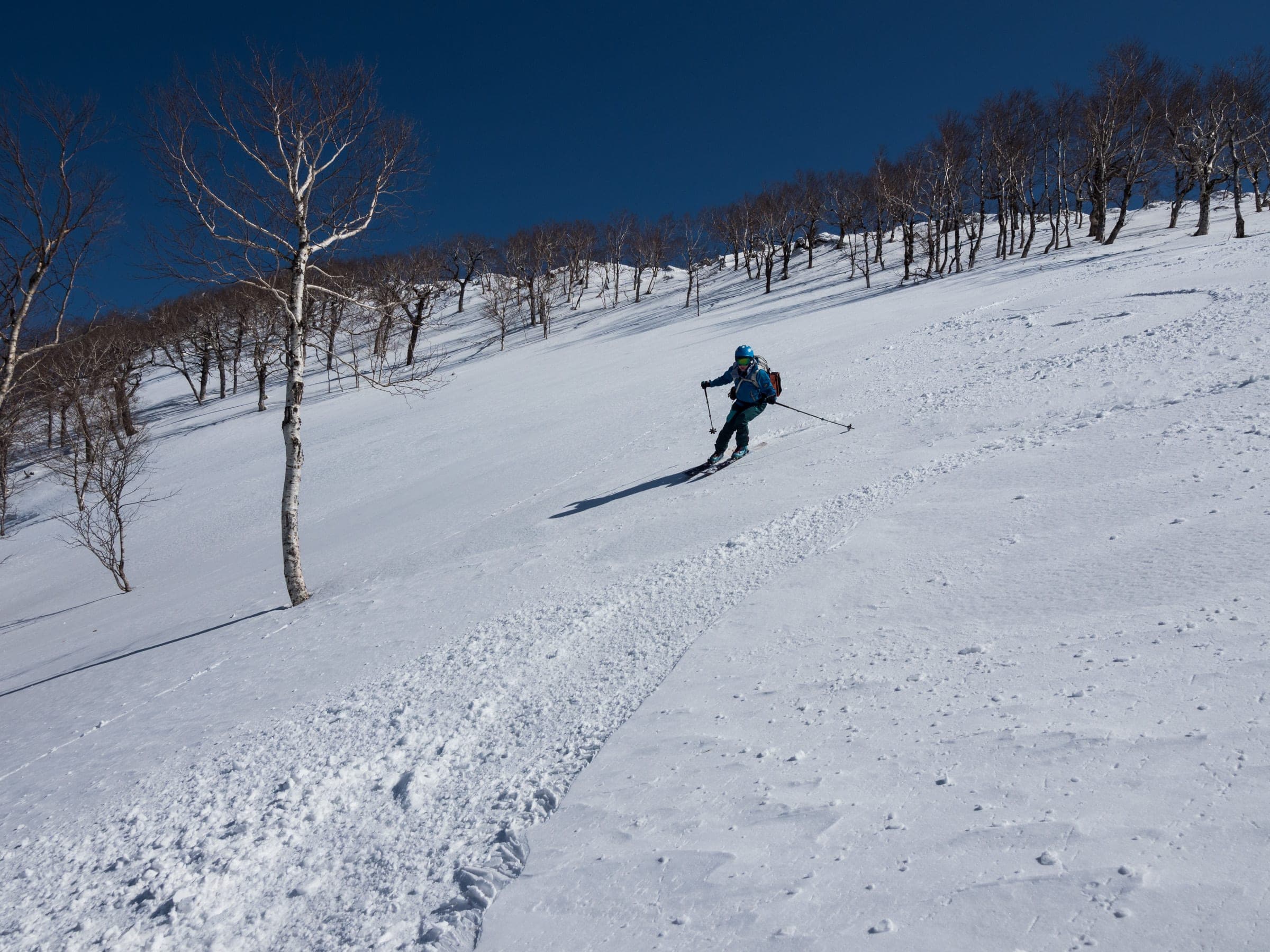A skier traverses open forest on the northern ridge of Konbu-dake