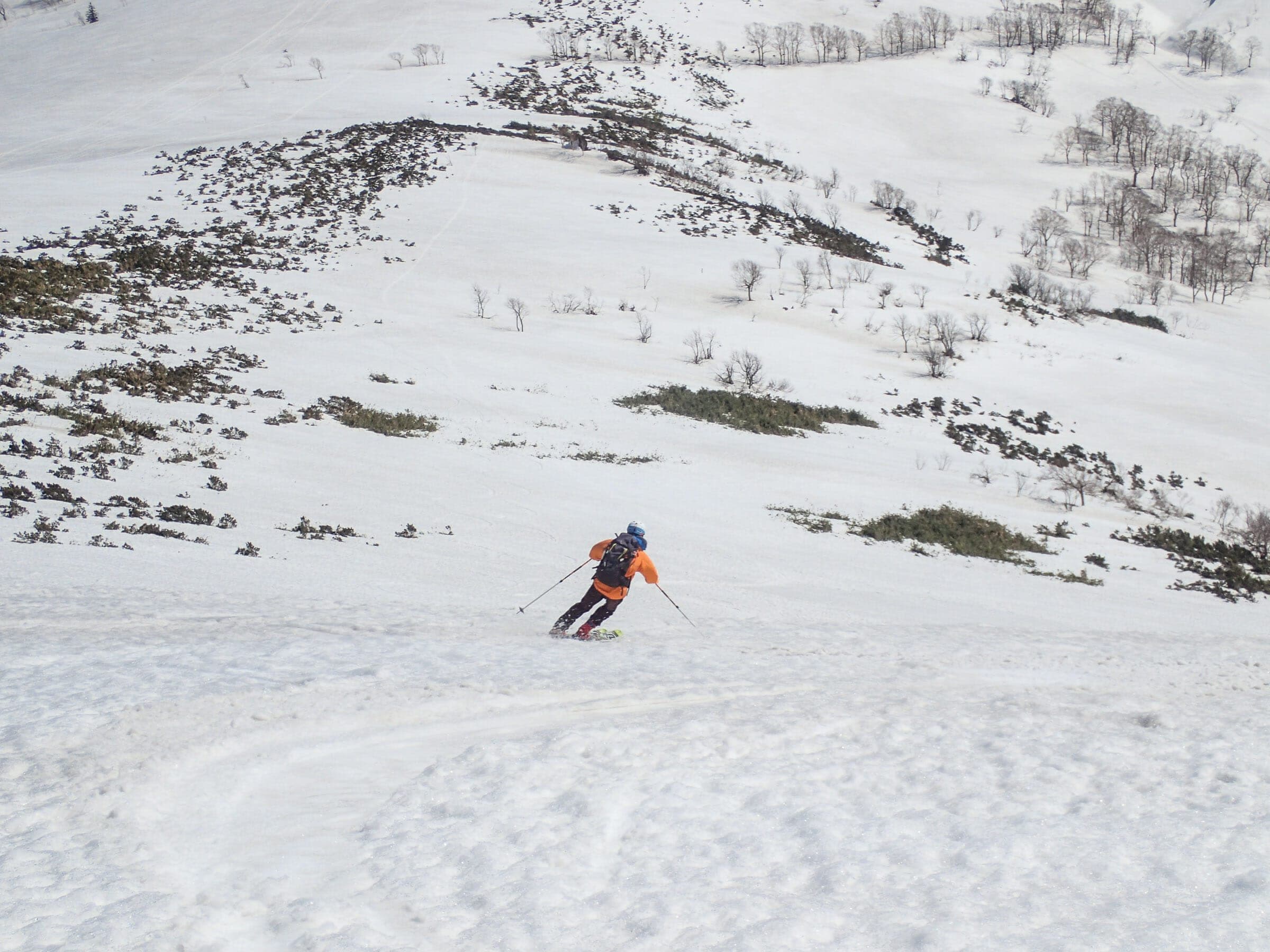 A skier turns on wind-packed snow near the summit plateau of Muine-yama