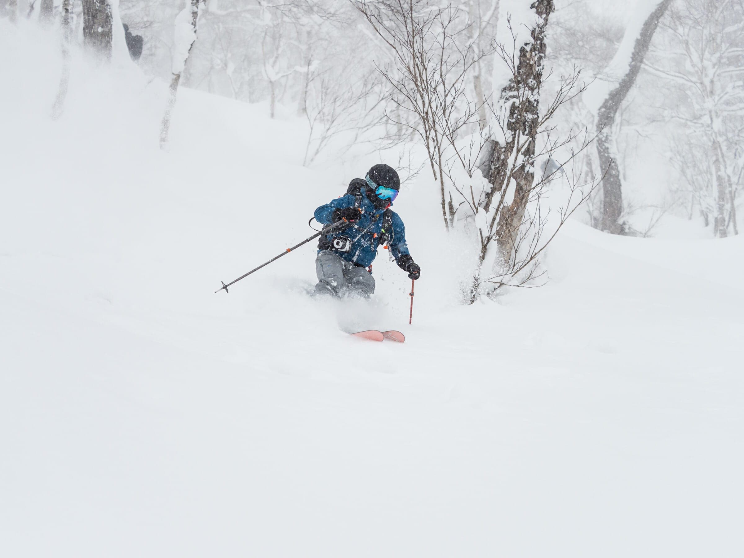 A skier slashes through deep powder among birch trees on Mt. Yotei's Makkimo route