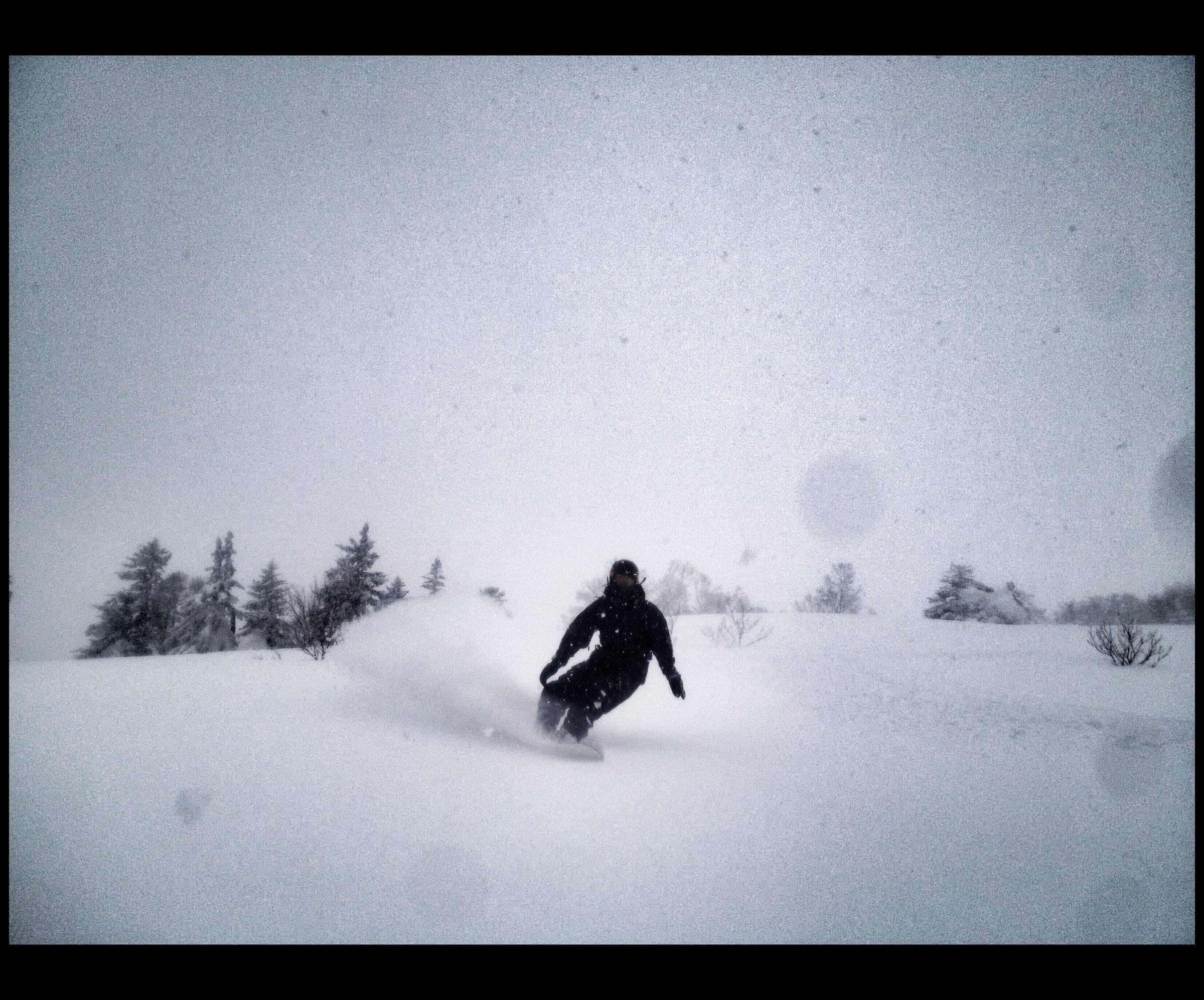 A snowboarder carves through deep powder among small firs on Nissho Peak during a snowfall