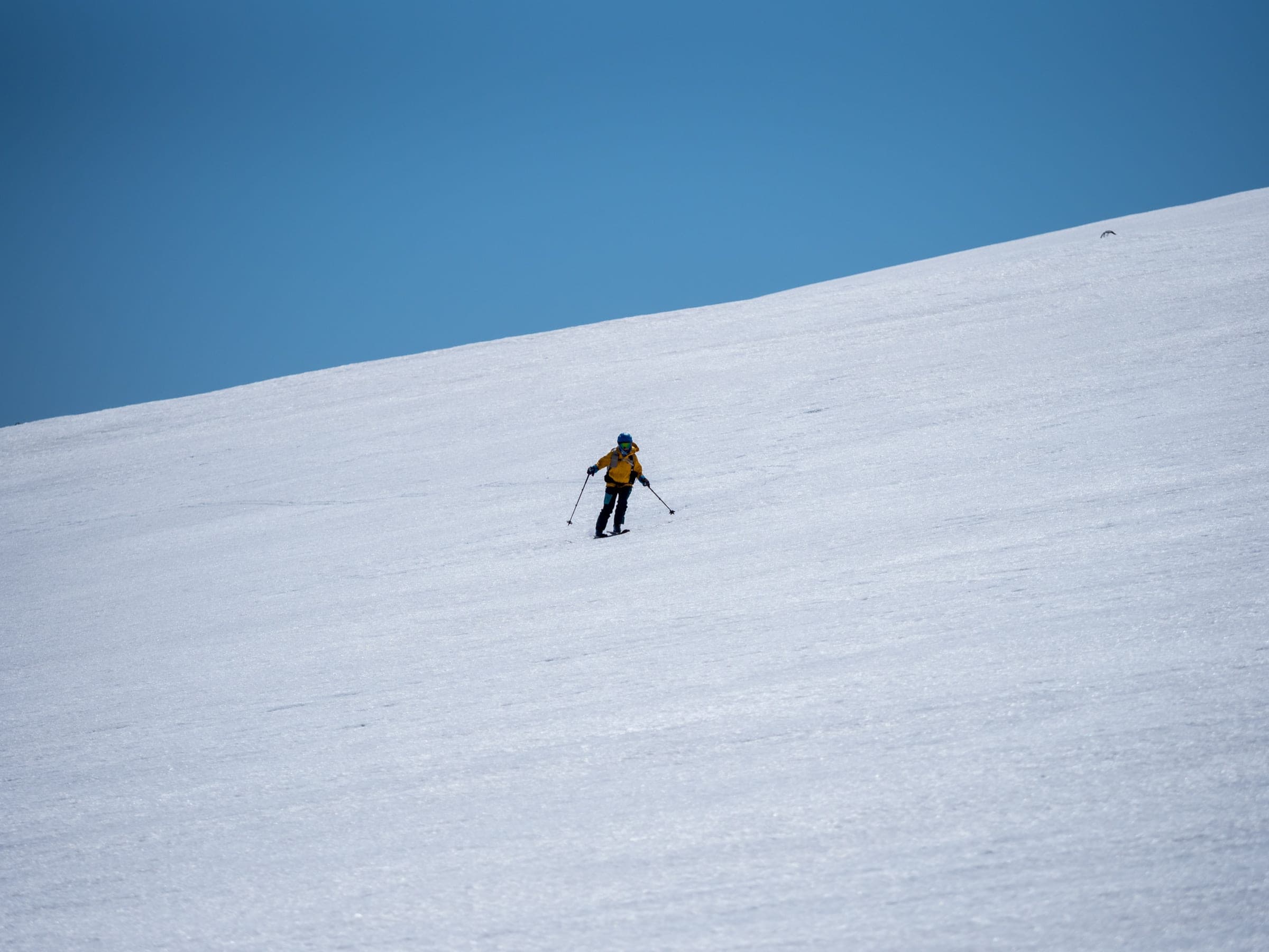 A skier descends a broad open snowfield on the north ridge of Raiden-yama
