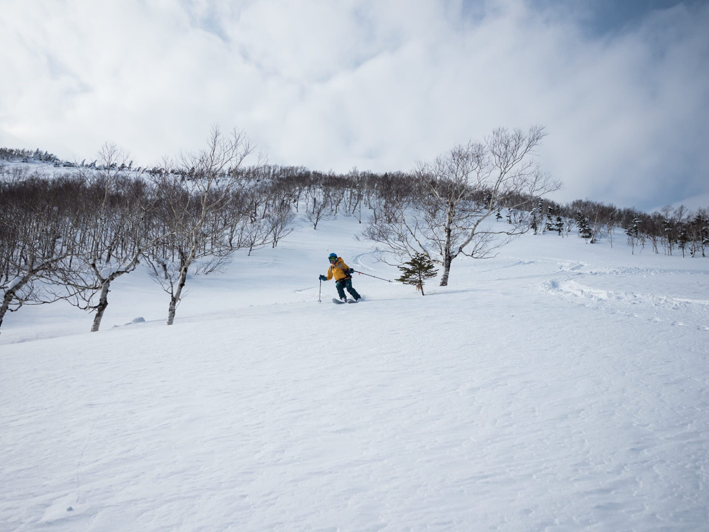 A skier descends an open slope among scattered trees on Karikachi-yama