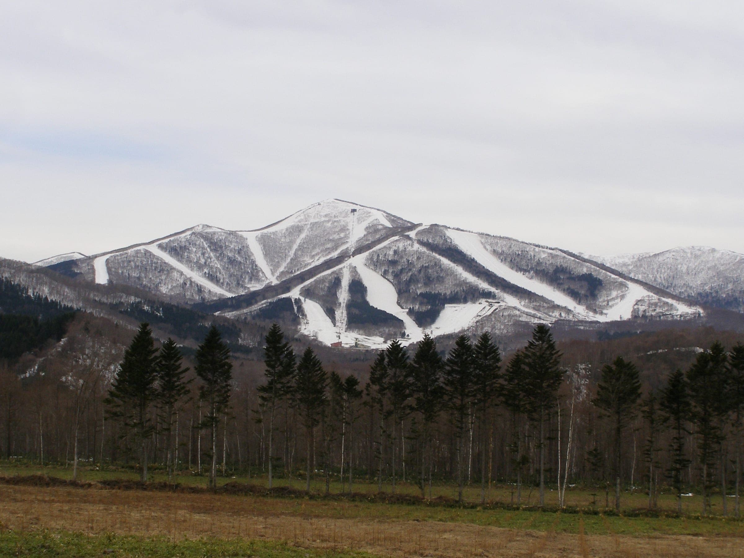 Ski runs stripe the snowy east face of Sahoro-dake above dark conifer forest