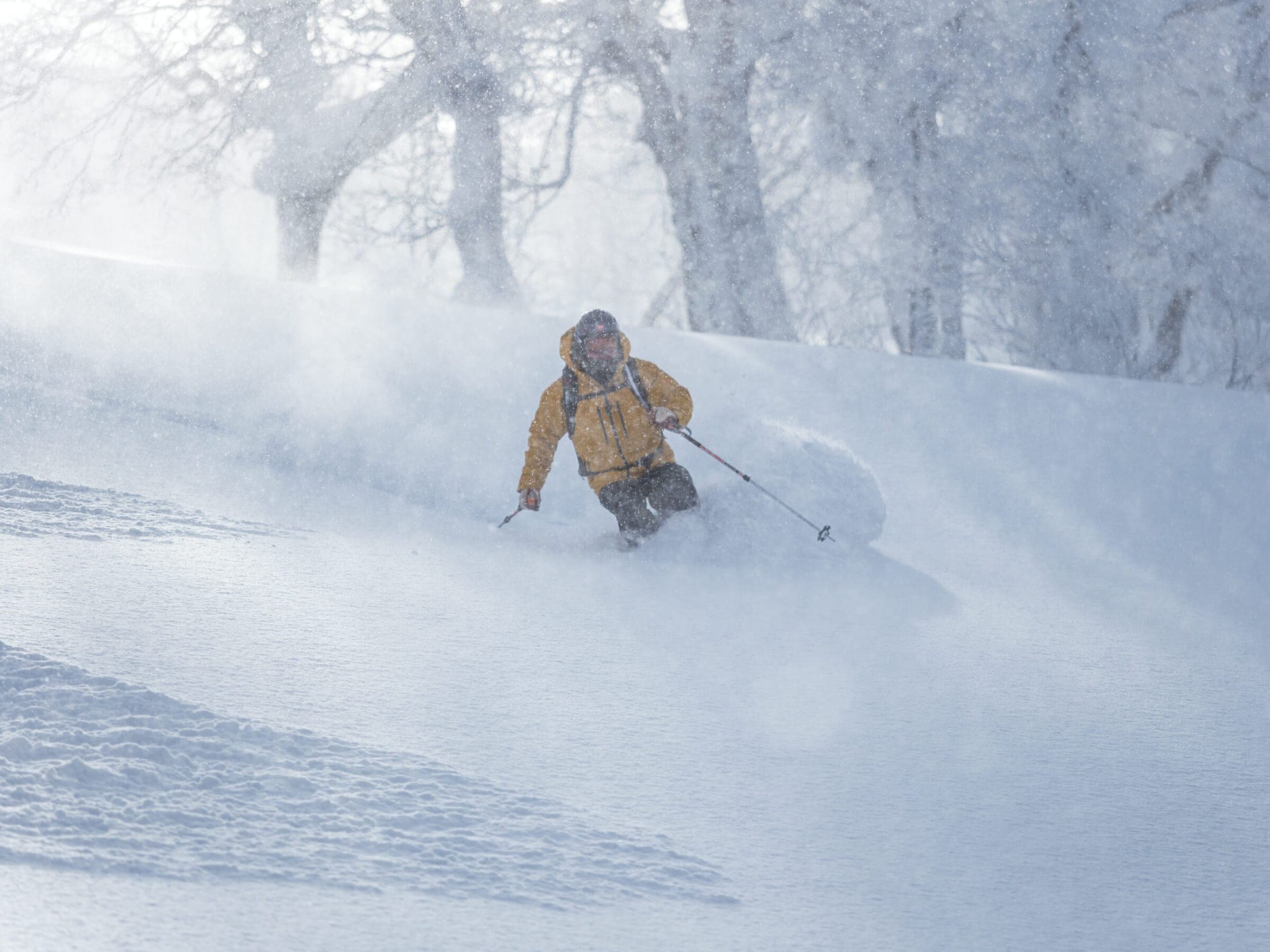A skier blasts through deep powder in the frosted trees of the Shiraidake-sawa route