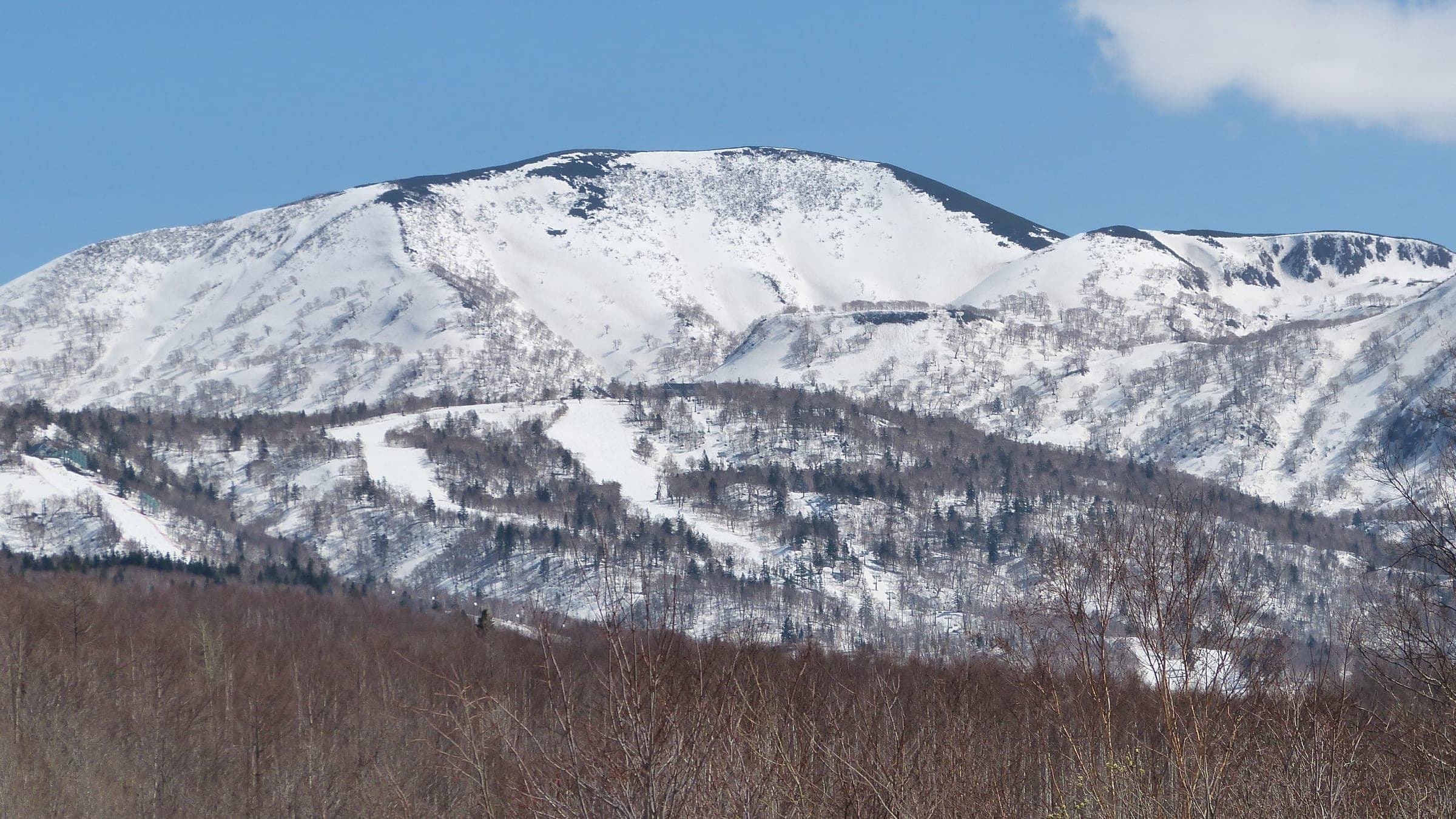 Snow covers the broad summit of Yoichi-dake above bare winter forest