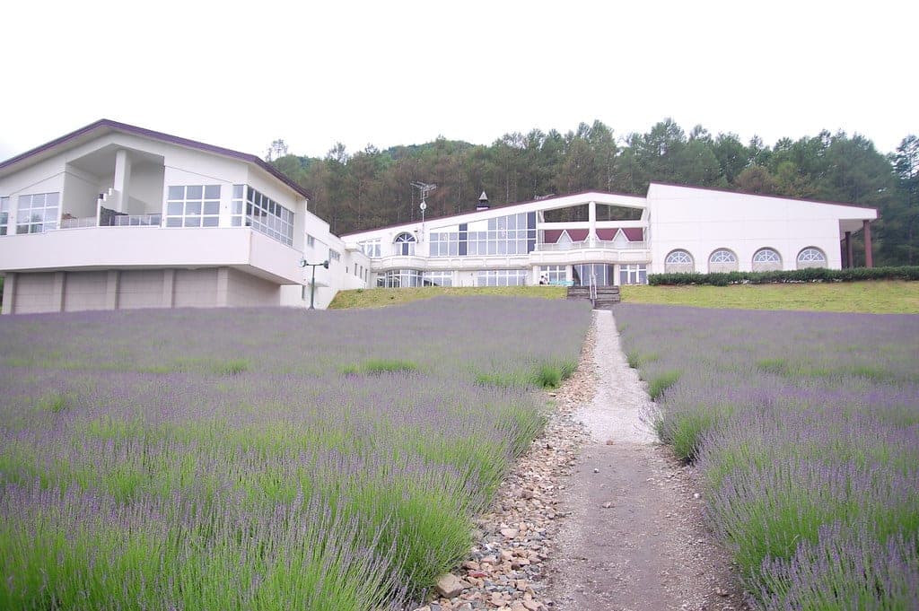 Highland Furano's white hotel building behind rows of lavender in the field next to the bath