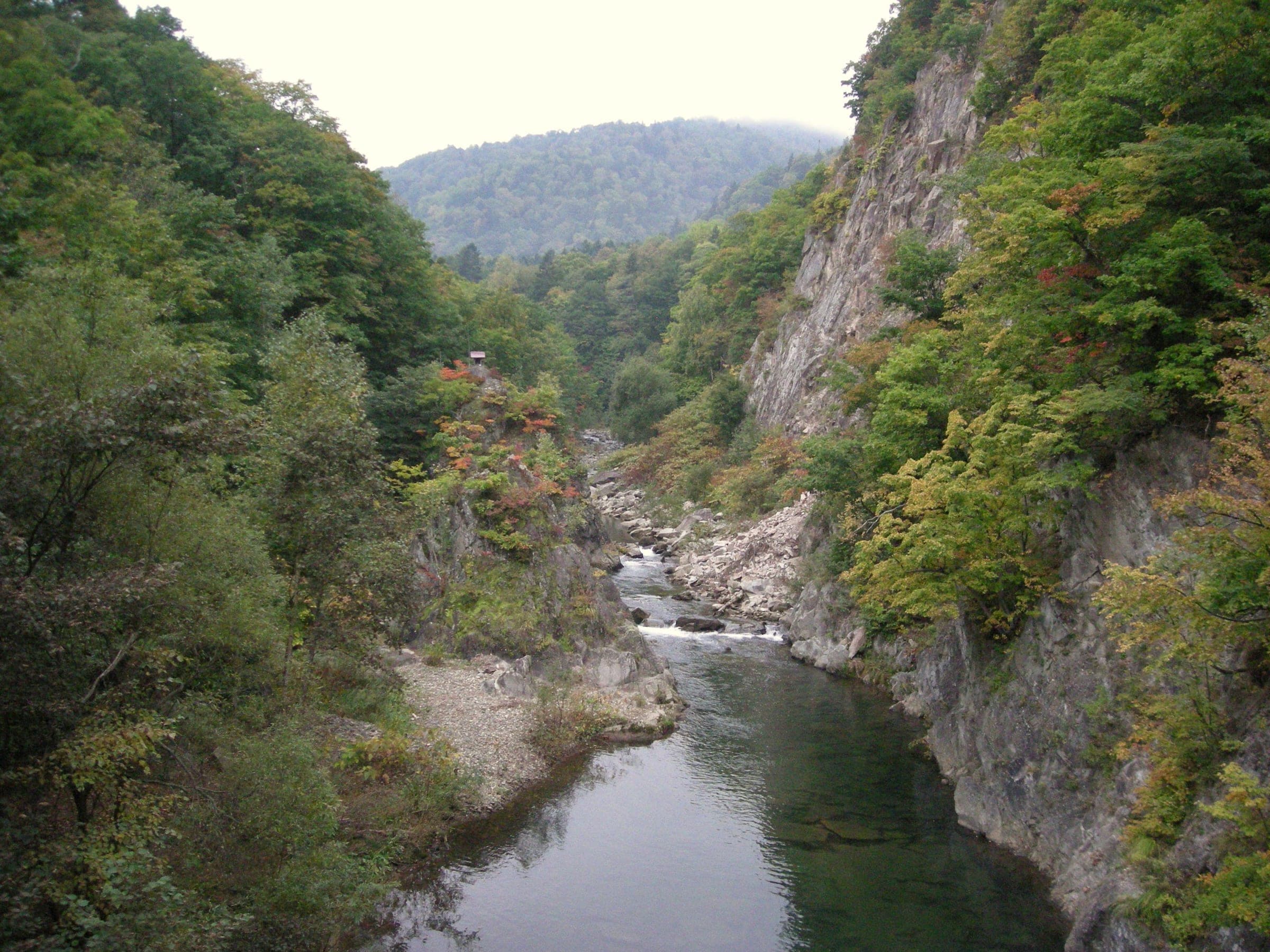 The Toyohira River runs through a forested gorge in Jozankei
