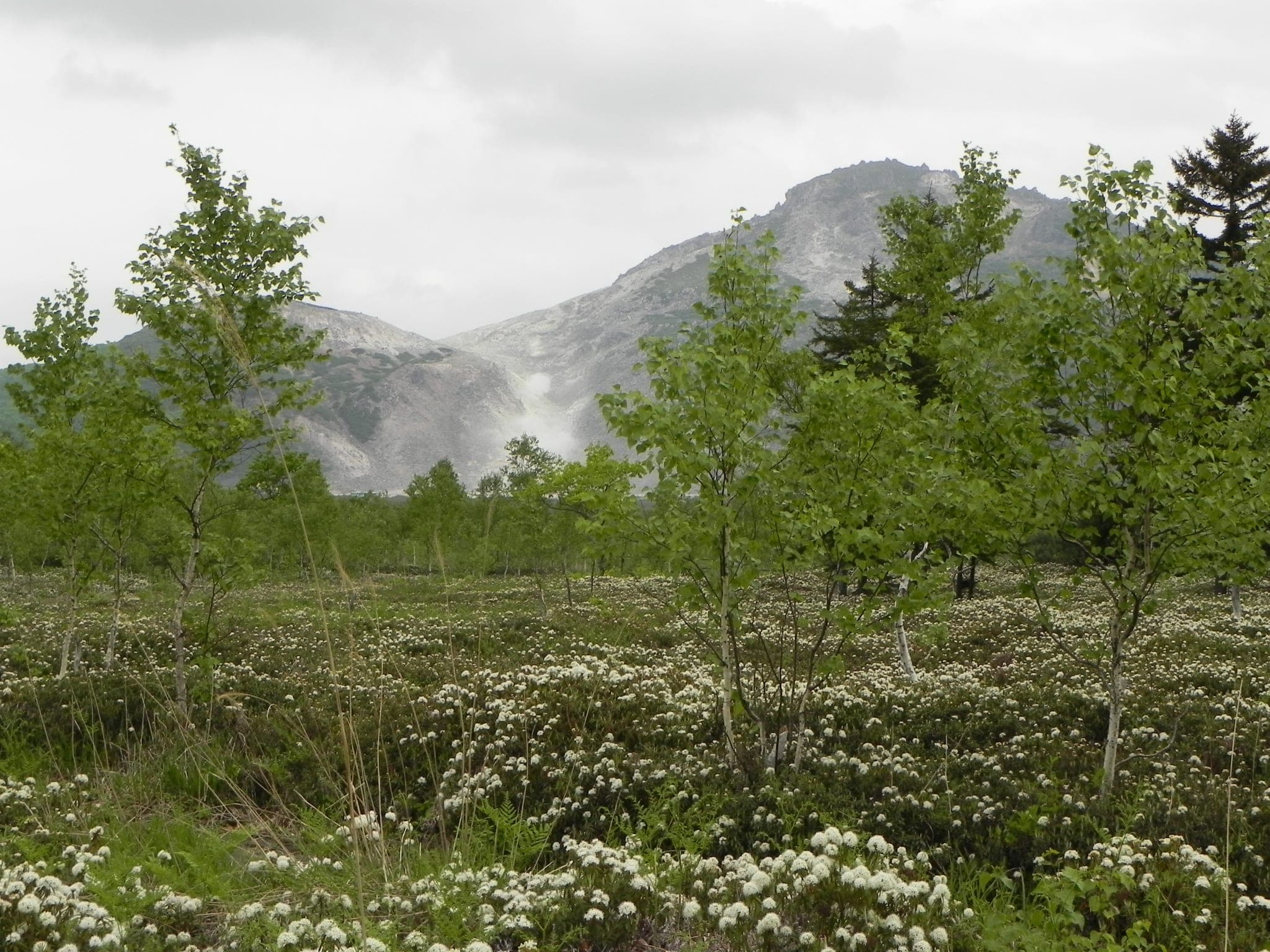 Steam from Mt. Io rises behind the Tsutsujigahara heath near Kawayu Onsen