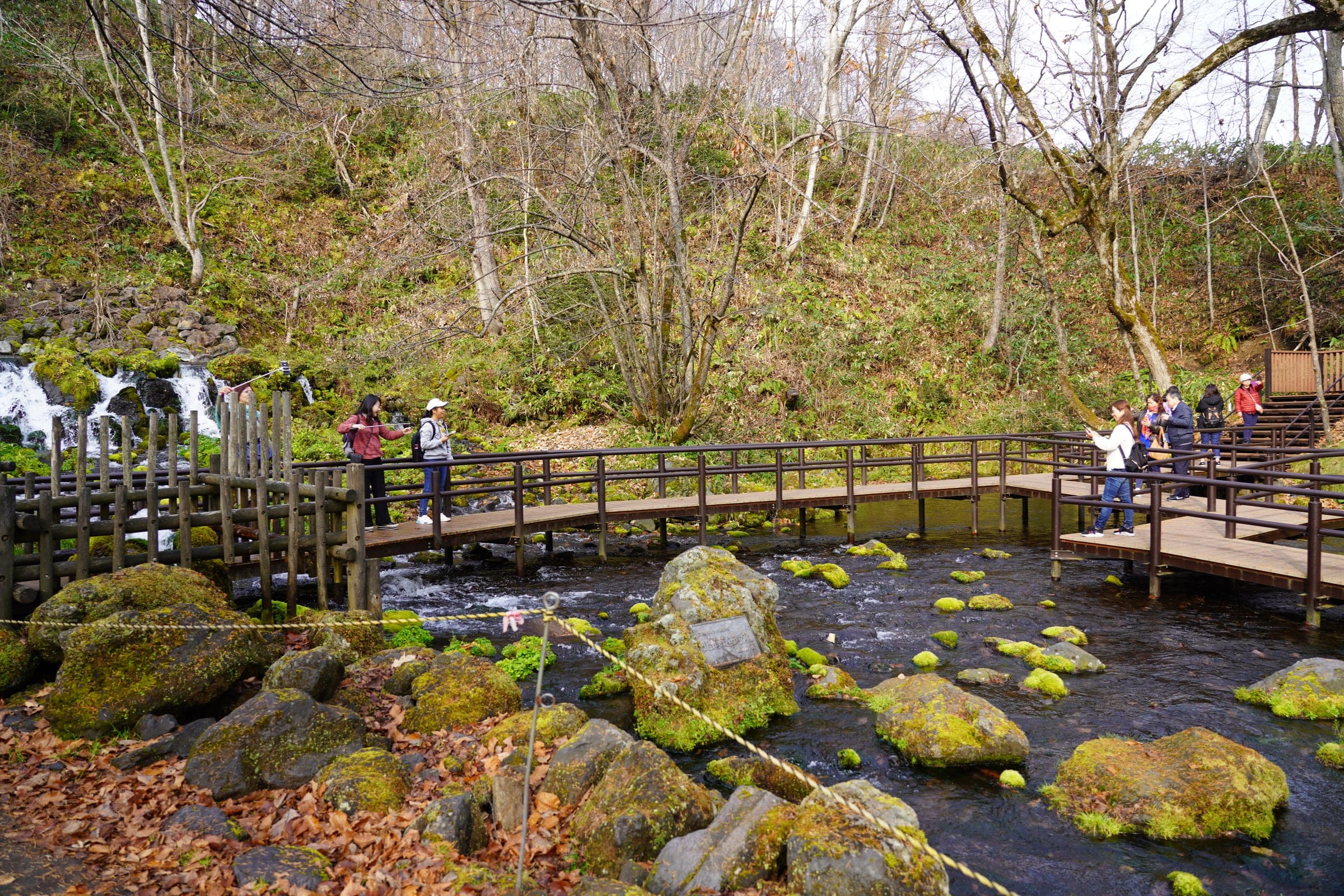 Boardwalks cross the mossy spring streams of Fukidashi Park near Kyogoku Onsen
