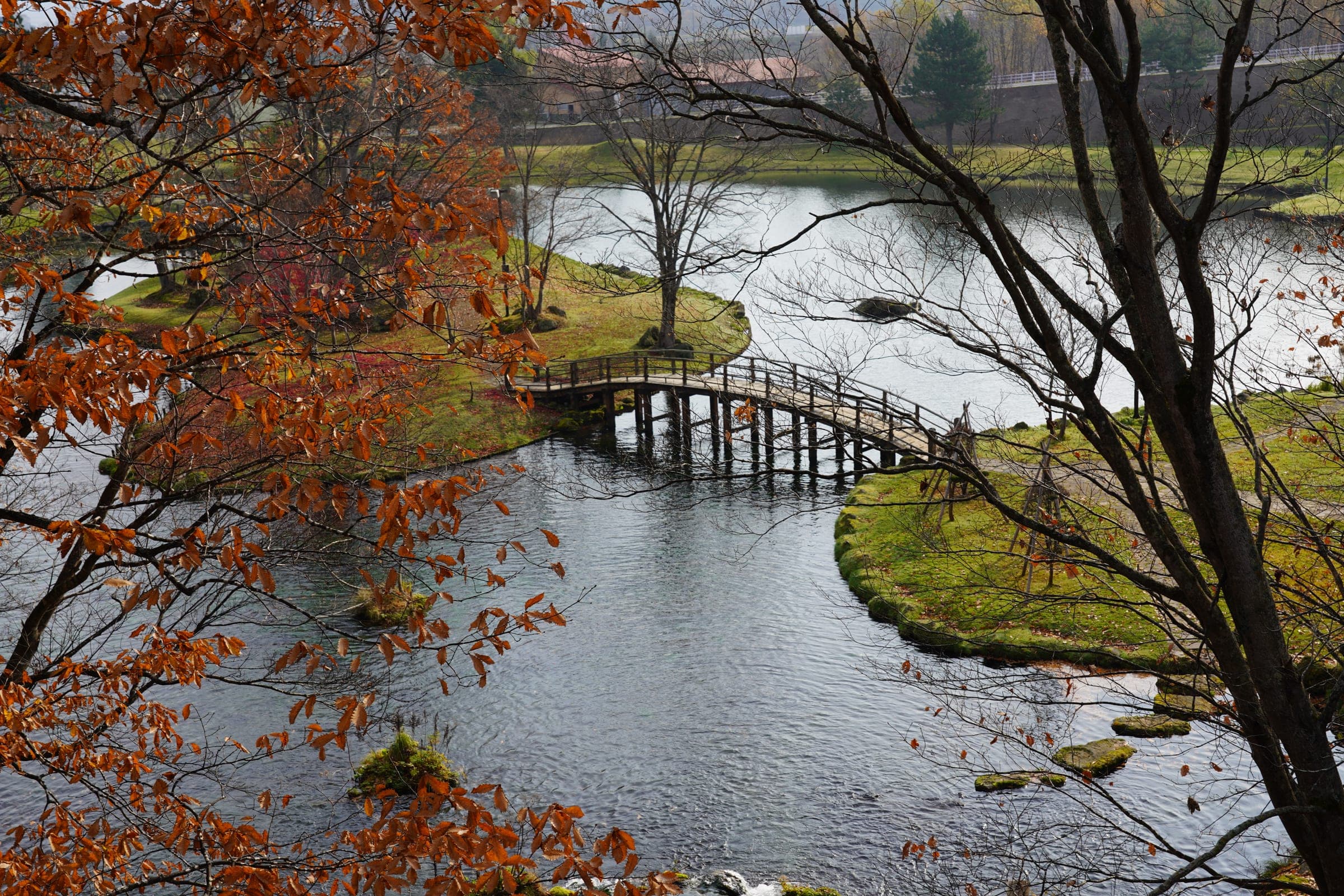 Autumn trees ring the pond and footbridge at Fukidashi Park next to Kyogoku Onsen
