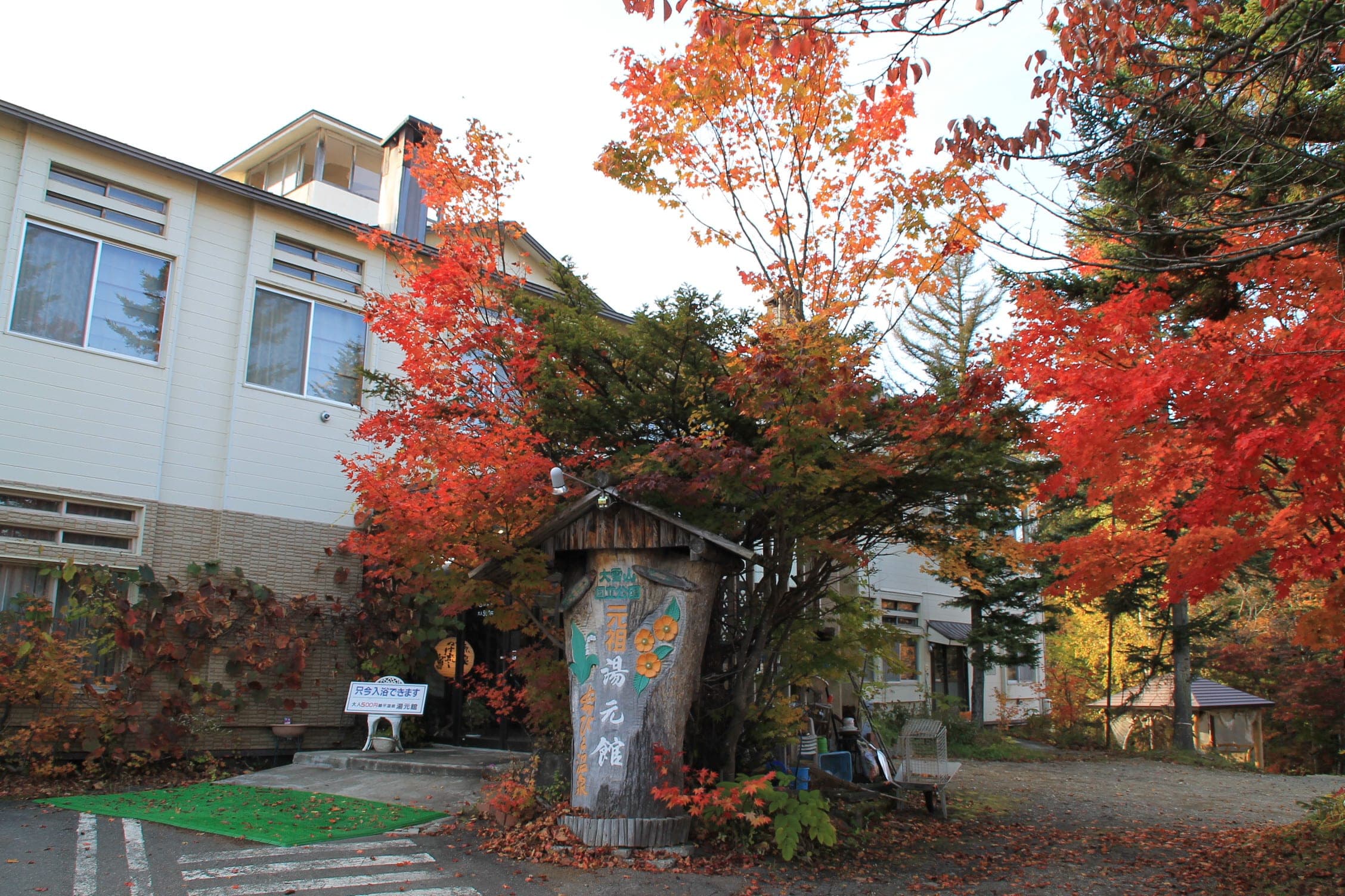 Red autumn maples outside the Yumotokan inn at Nukabira Gensenkyo