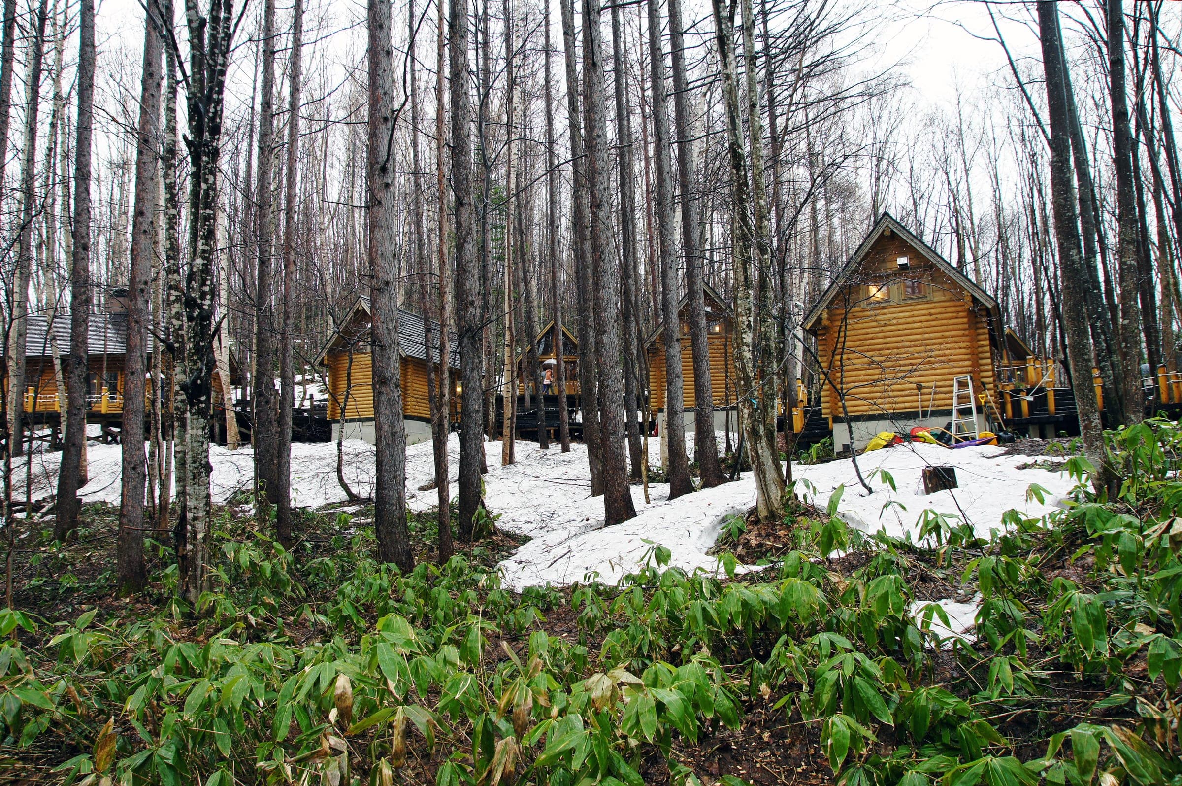 Ningle Terrace's wooden cabins stand among bare trees and spring snow beside the New Furano Prince