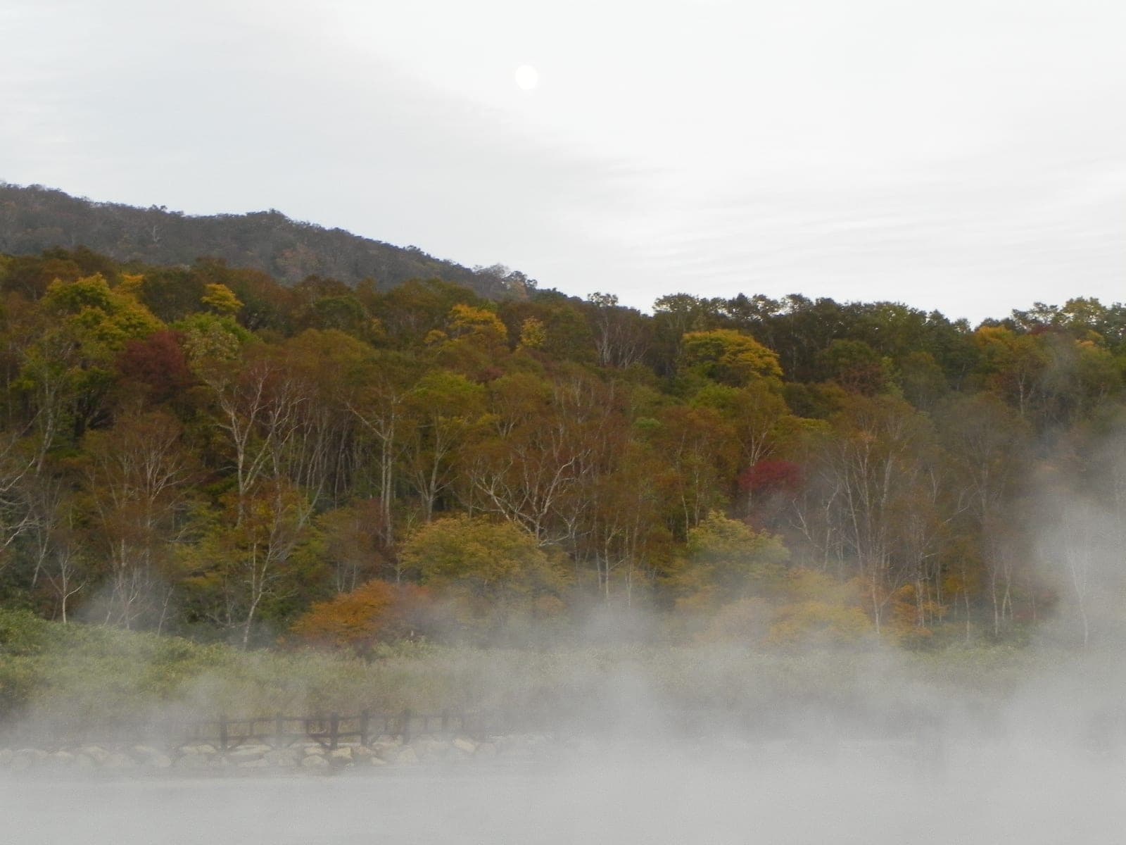 Steam drifts through autumn forest at the edge of Oyunuma near Yukichichibu