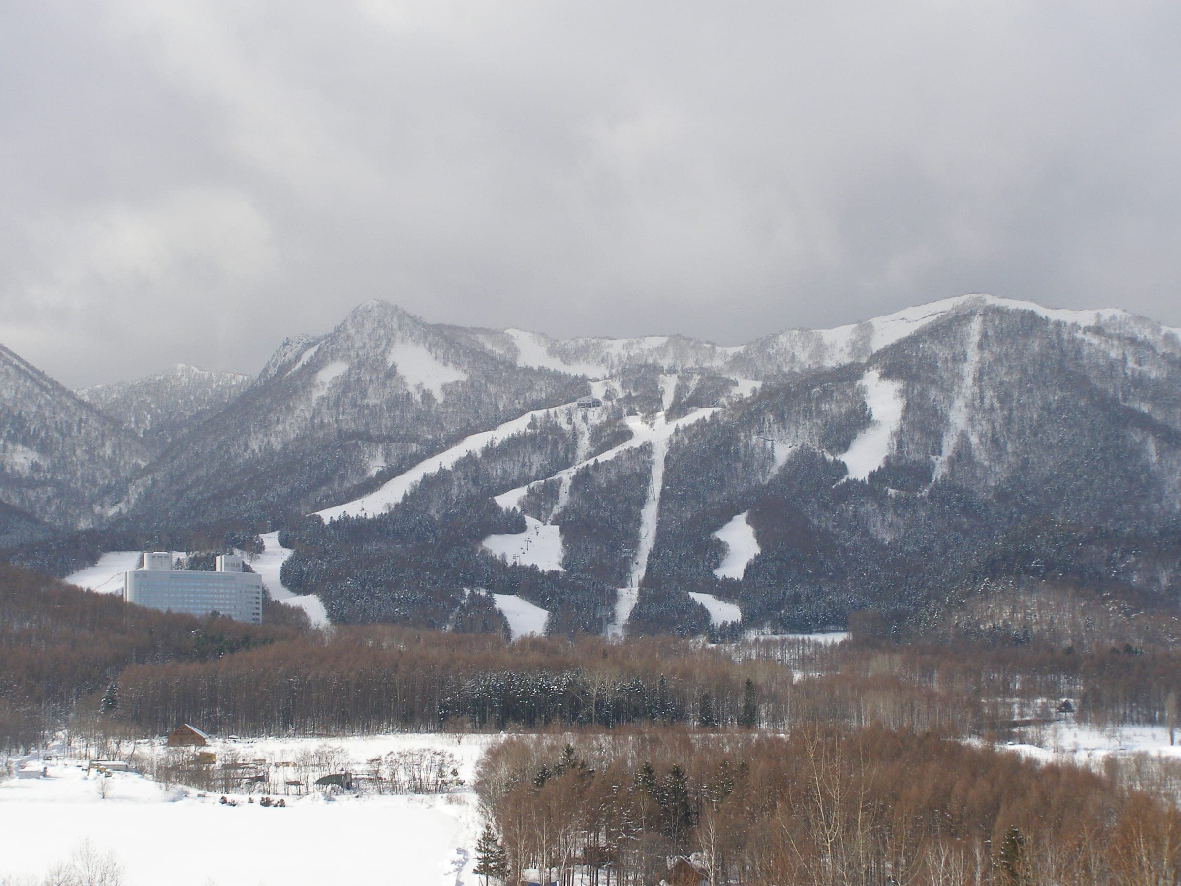 Ski runs cut down the forested flanks of the Furano zone above the New Furano Prince Hotel