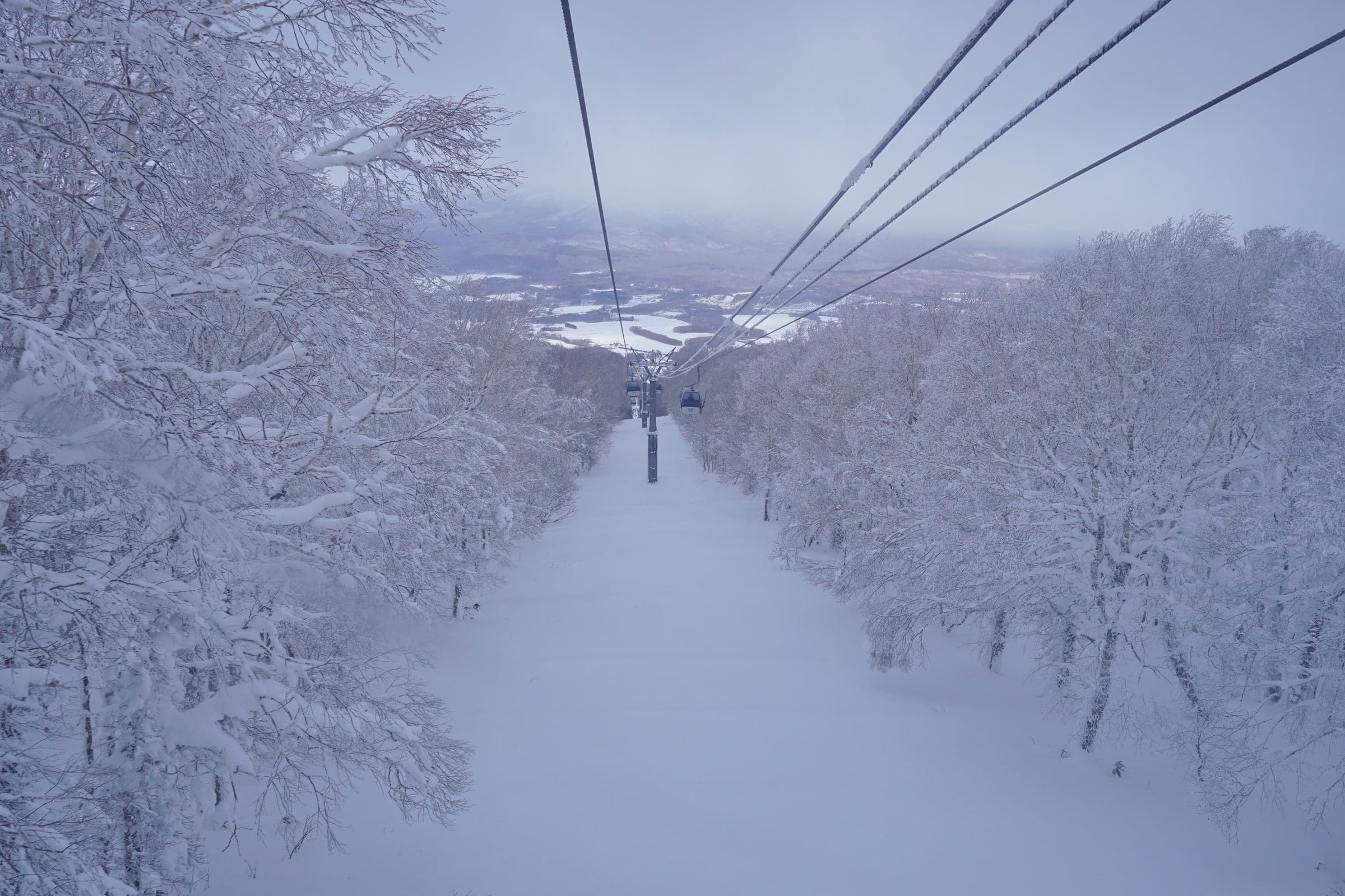 The Hakodate Nanae gondola line runs down between rows of snow-laden trees toward the plain