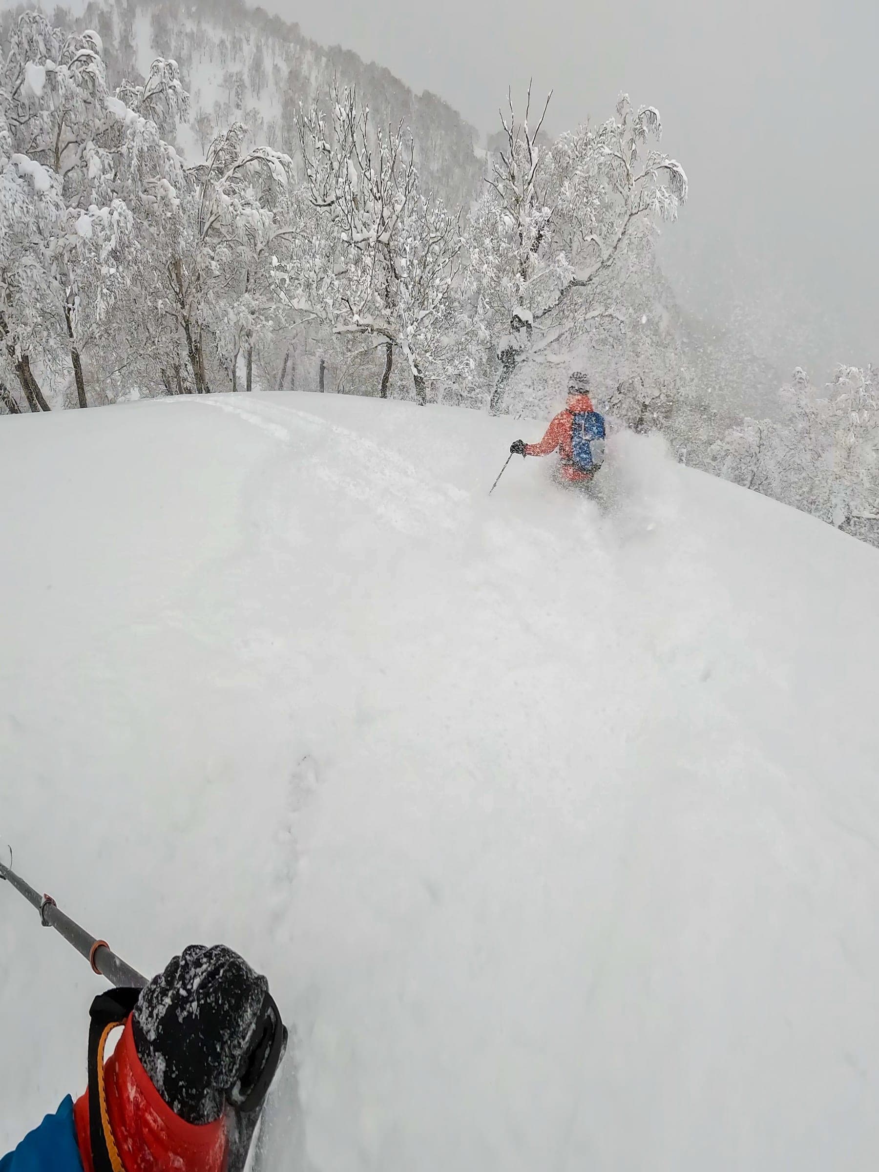 A skier throws up powder on the 1107m peak in the backcountry east of Kiroro