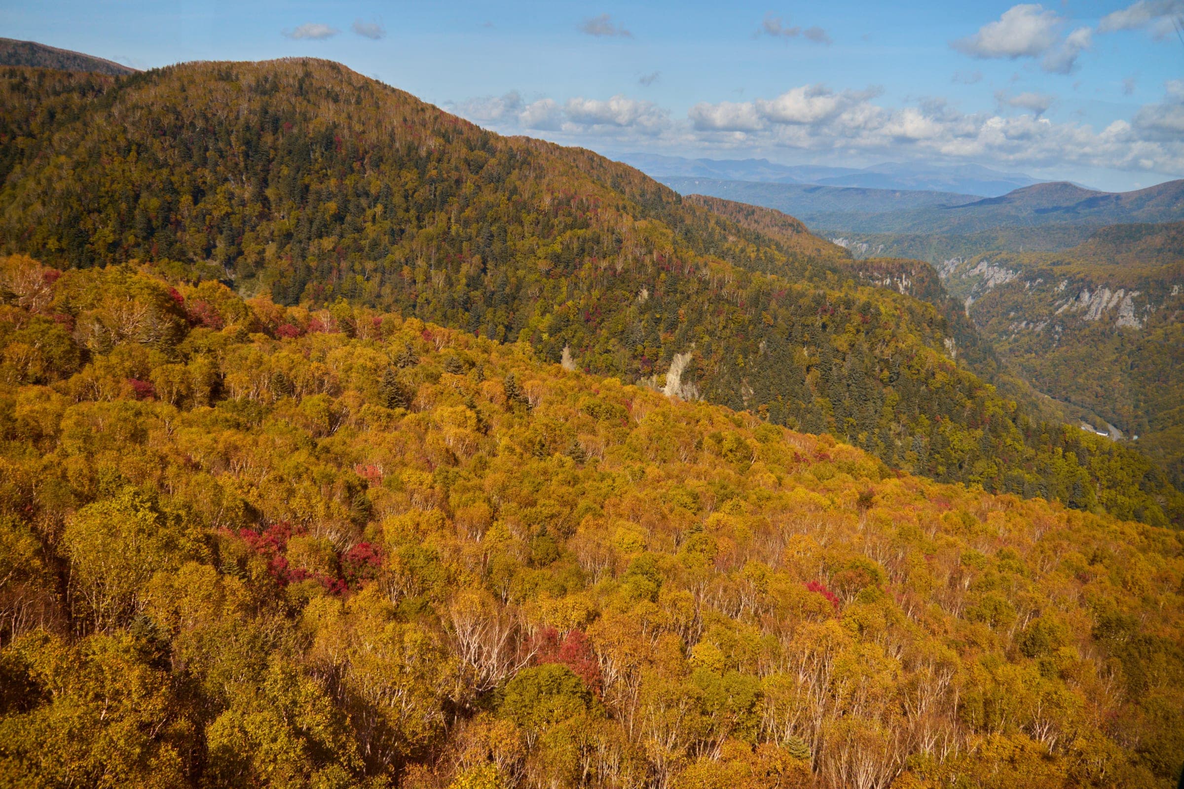 Autumn colour covers the forested slopes of Kurodake above Sounkyo in the Daisetsuzan range
