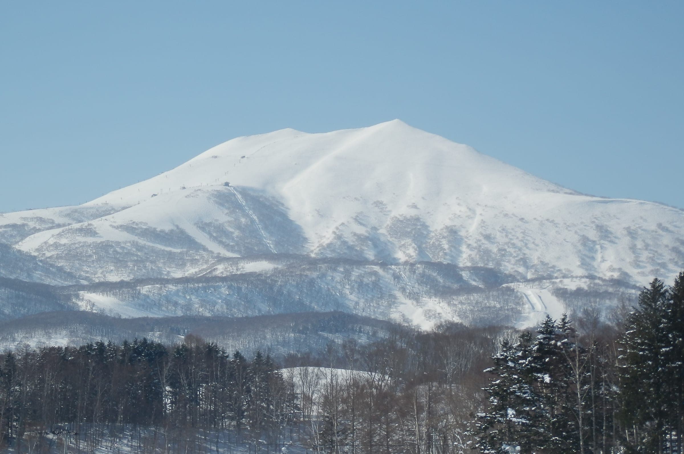 Snow-covered Niseko Annupuri rises above forest on the HANAZONO side of the mountain
