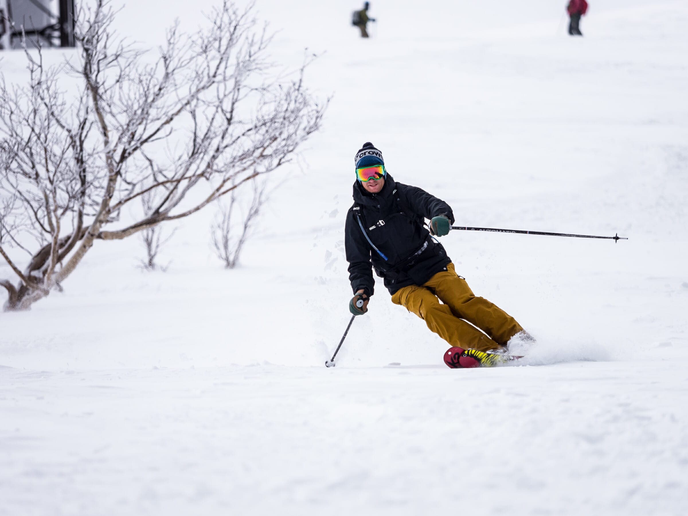 A skier leans into a turn below bare birches on Weisshorn above Niseko
