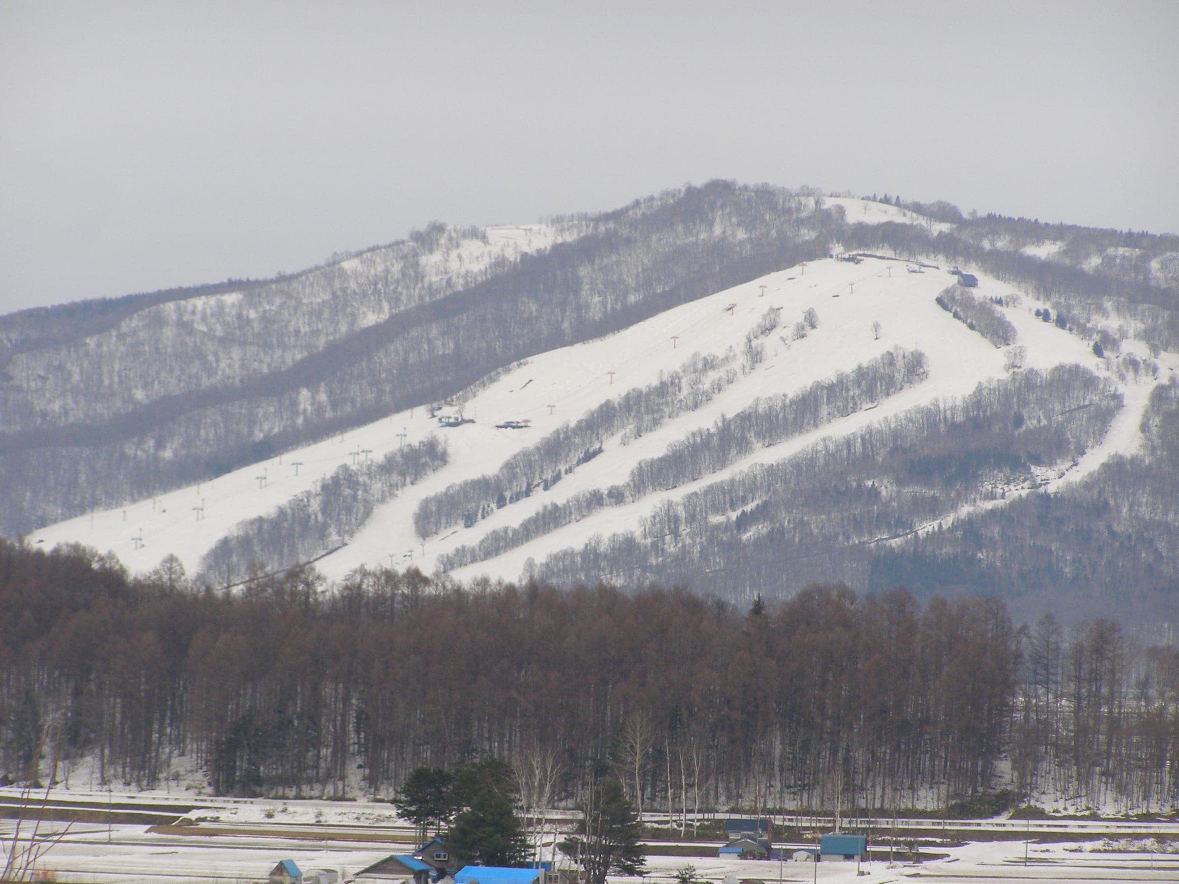 Pippu Ski Area's runs curve down a snowy ridge above bare winter forest