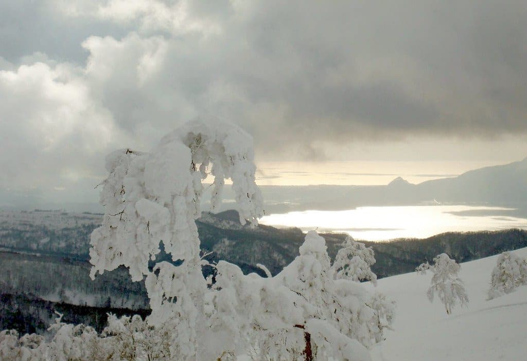 Rime-coated trees on the upper slopes of Rusutsu look out over a distant lake under low cloud