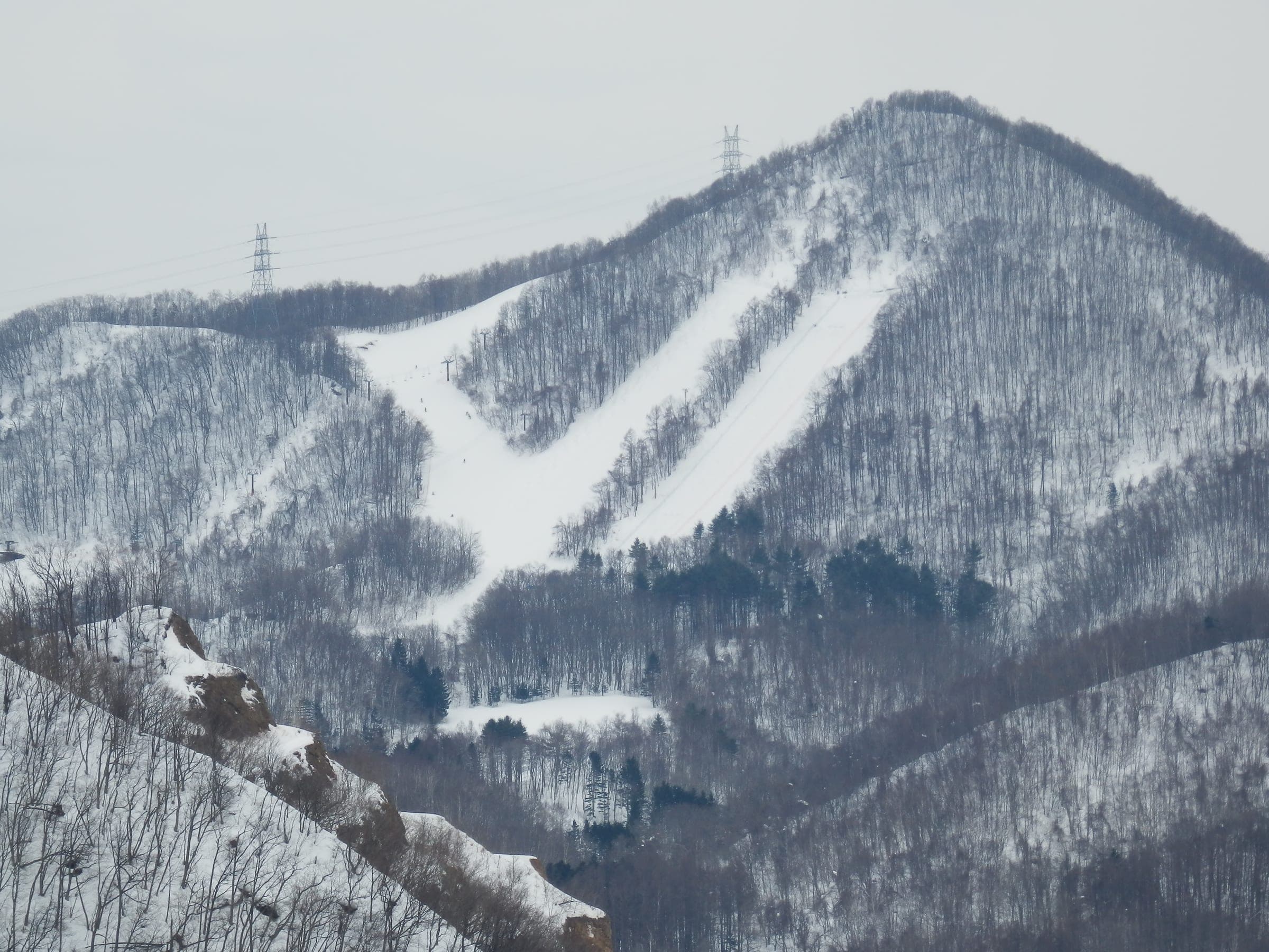 The runs of Sapporo Bankei Ski Area cut white lines down a forested hill on the edge of Sapporo