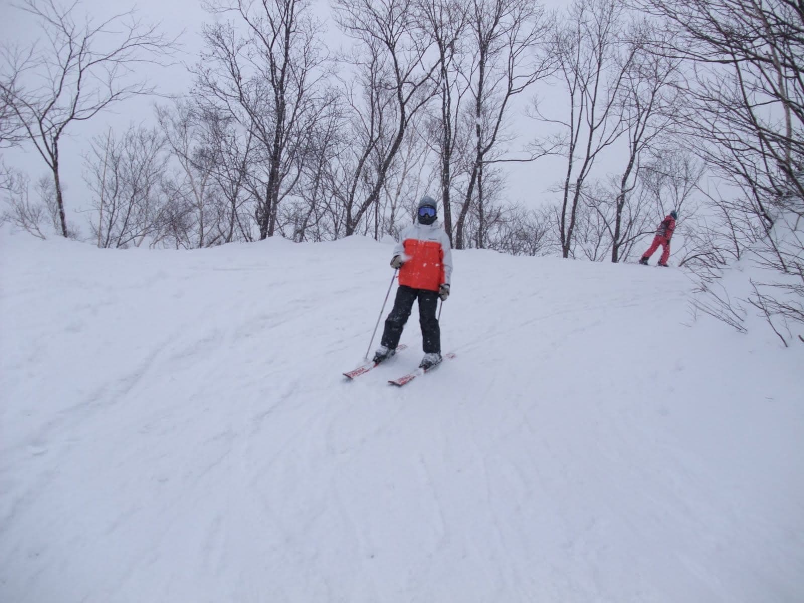 A skier comes down a tree-lined run near the summit of Sapporo Teine
