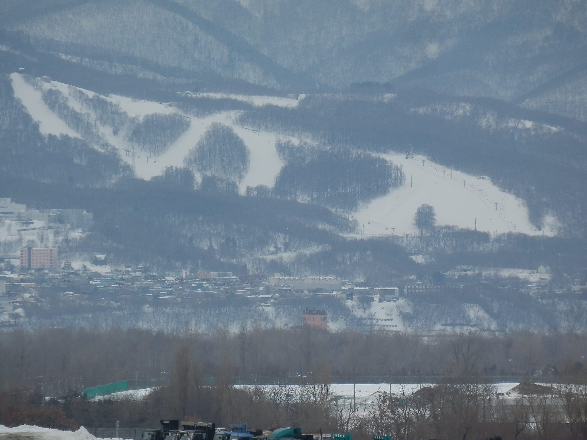 Snow Cruise ONZE's runs cut white lines through forest on the hills above Zenibako