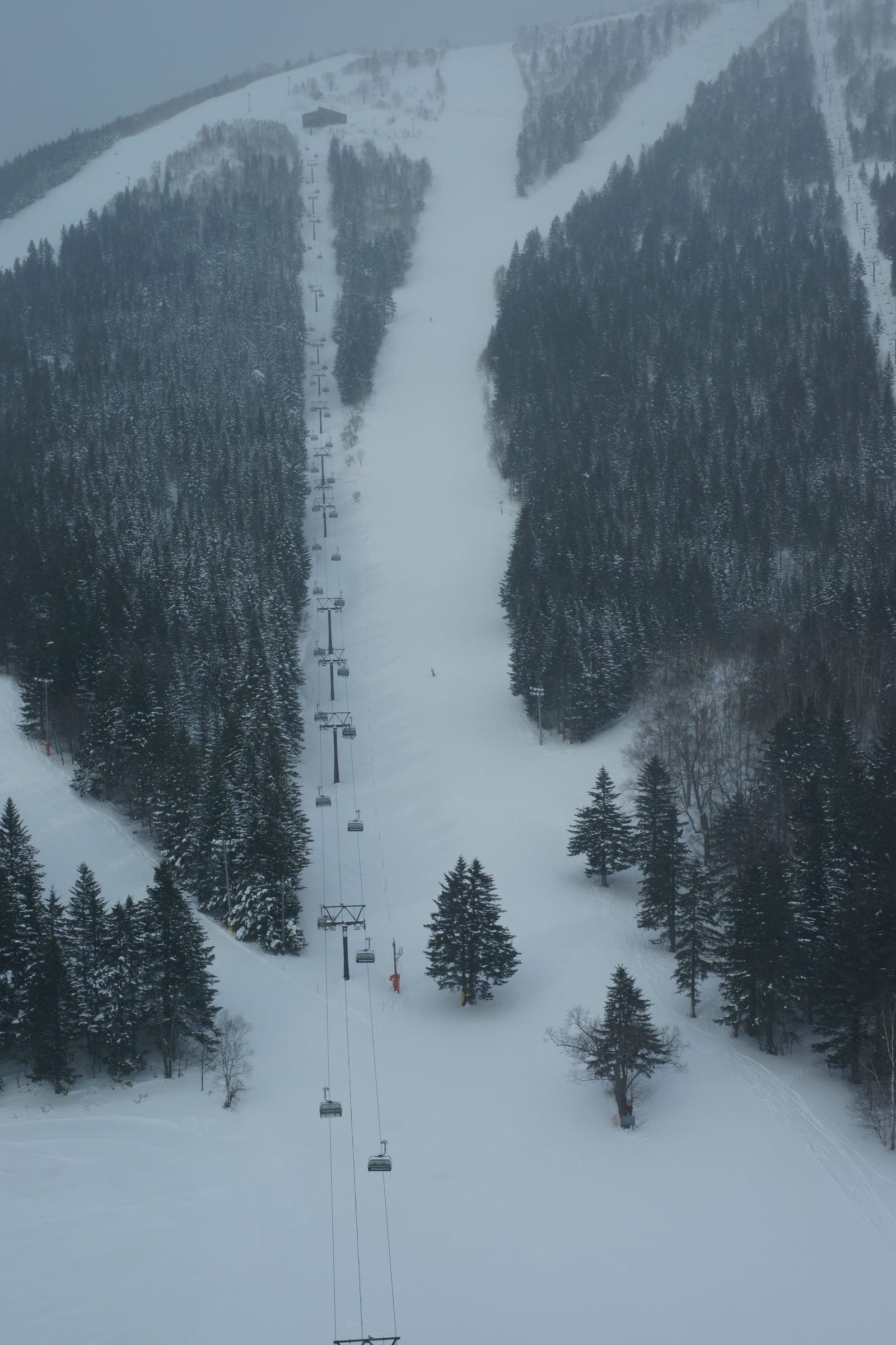 A groomed run drops between dark snowy forest at Hoshino Resorts Tomamu