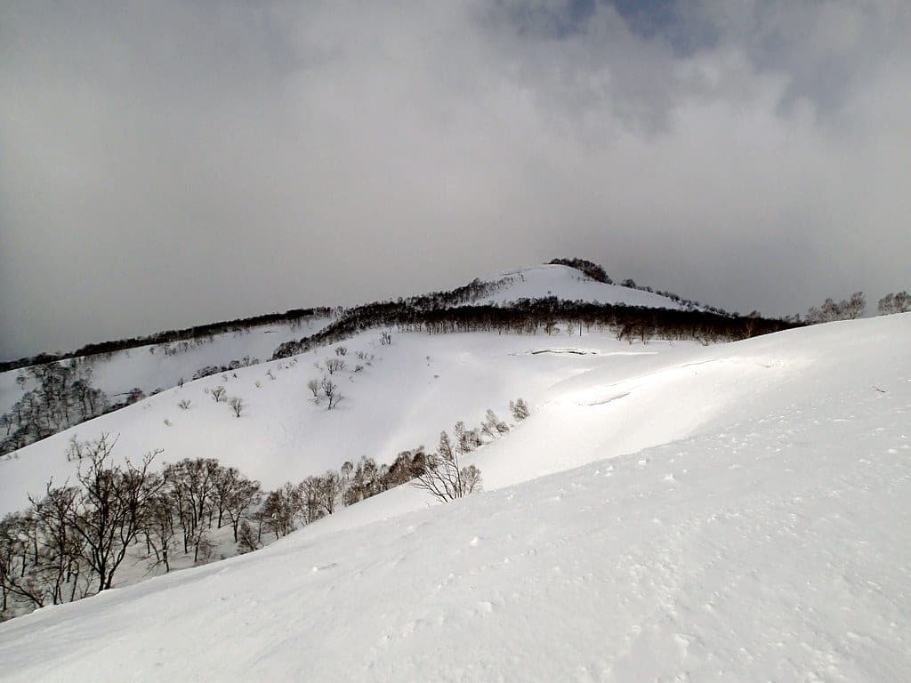 Wind-carved snow and bare birch cover the sidecountry ridges above Niseko Moiwa