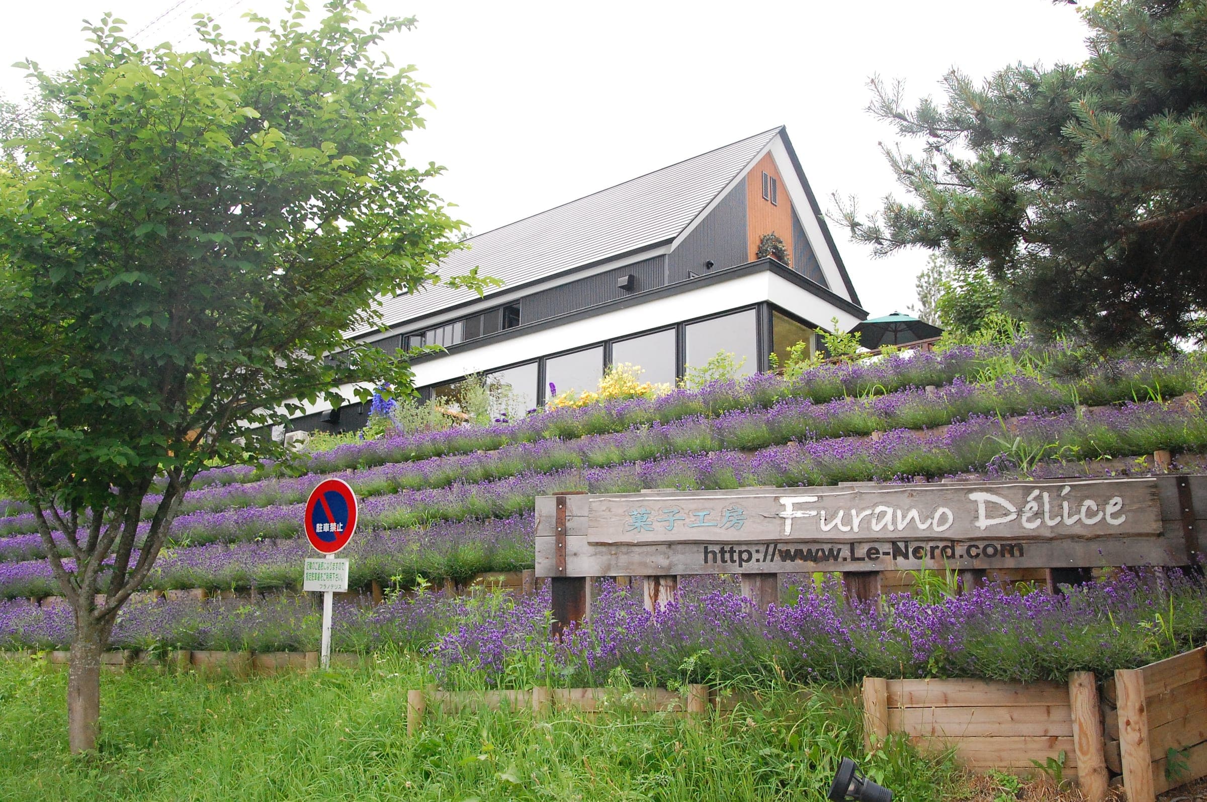 The Furano Delice cake shop on its hillside above a bank of lavender