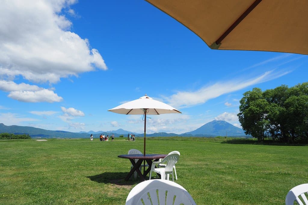 A parasol and picnic table on the lawn at Lake Hill Farm with Mt. Yotei in the distance