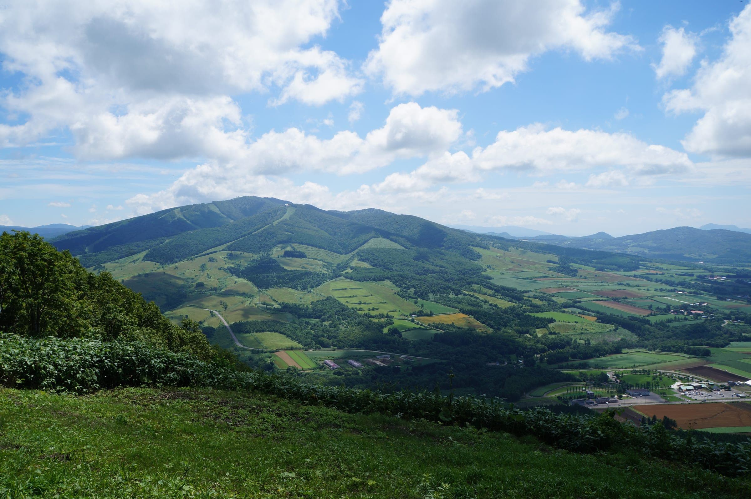 Farmland and forest roll toward the hills around Rusutsu under summer cloud