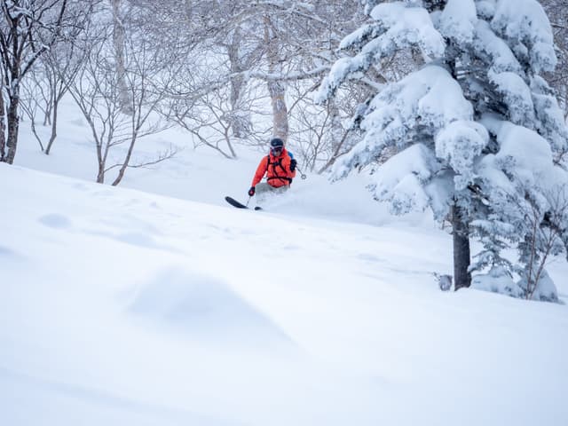 A snowboarder in red rides powder between snow-loaded firs on the west face of Furano-dake