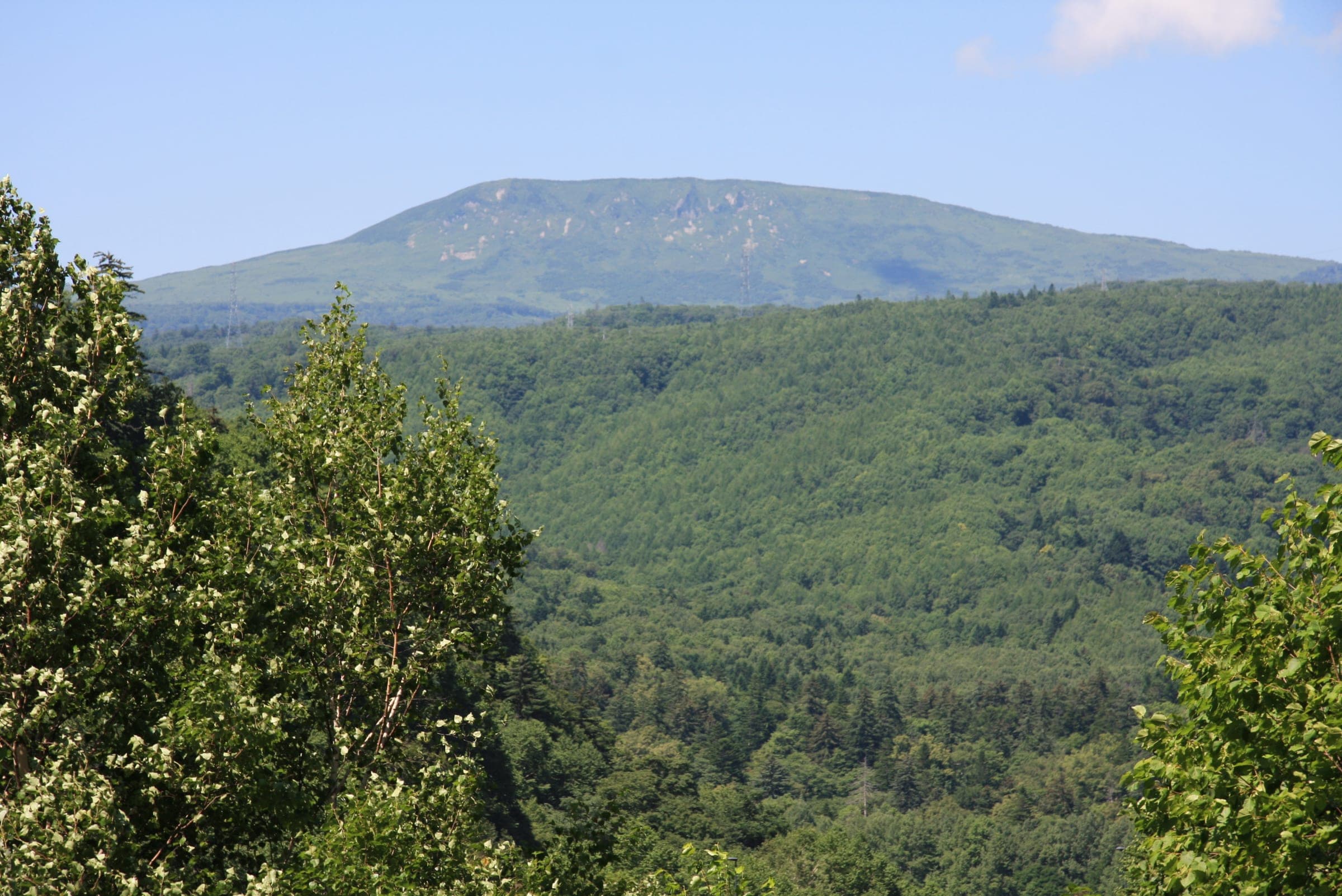 Muine-yama shows its broad summit plateau above green summer forest, seen from the east-southeast