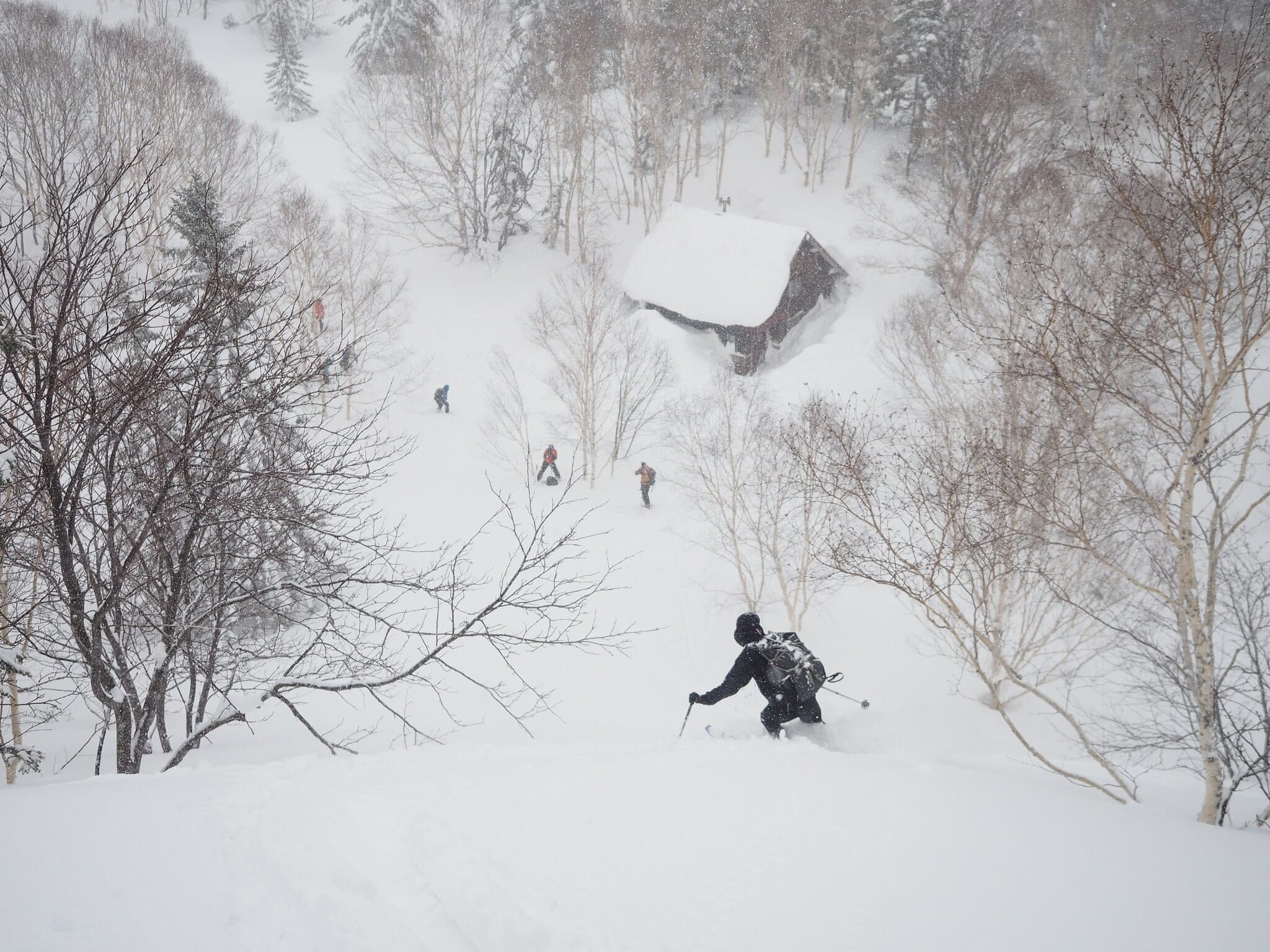 A skier drops through snowy trees on the Muine Hut route of Muine-yama
