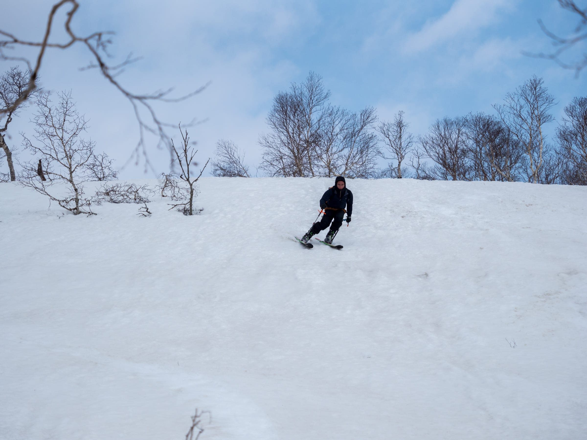 A snowboarder rides through open hardwood forest on the south approach to Maemekunnai-dake