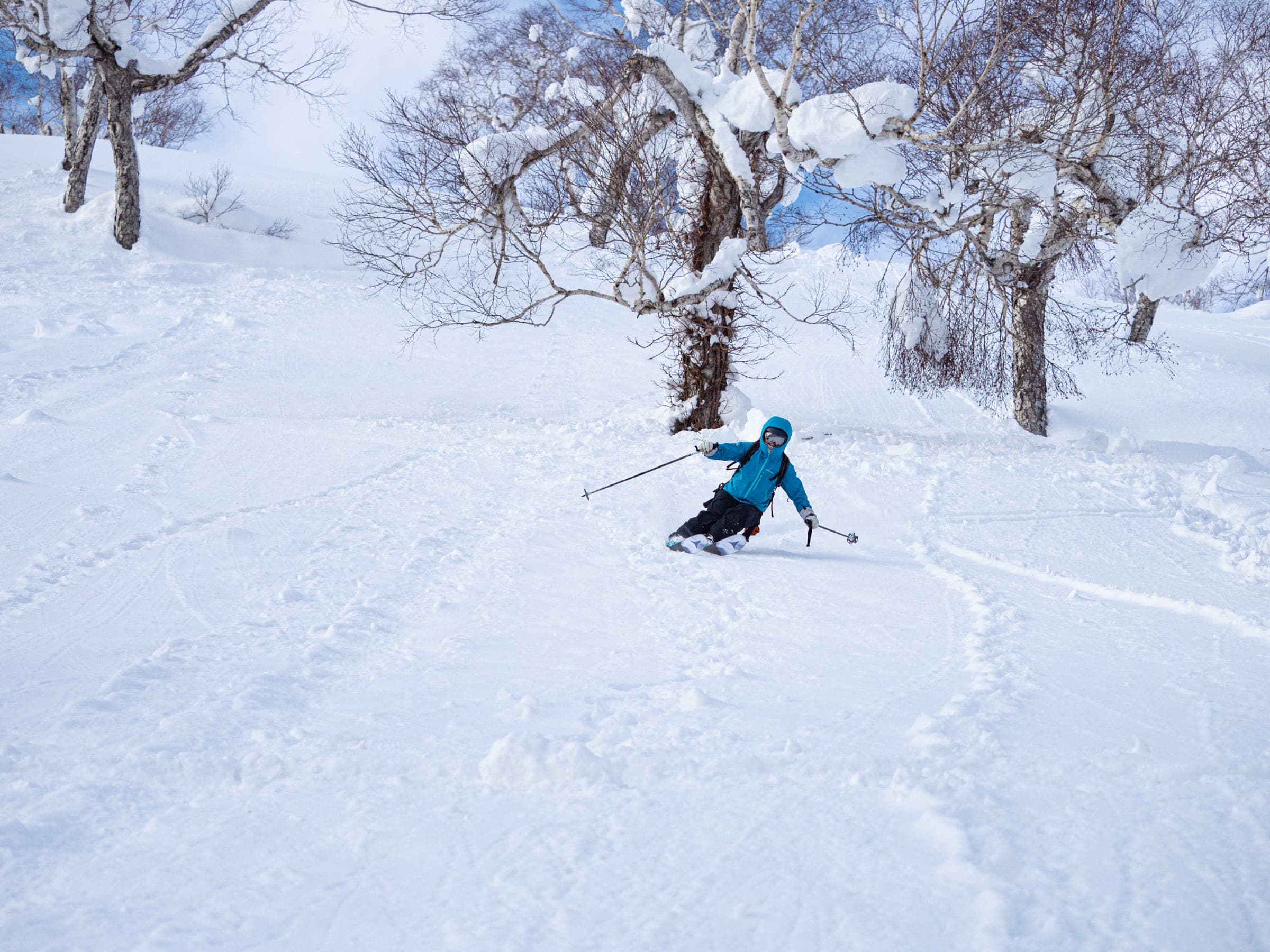 A skier turns through open birch trees on the southeast face of Nitonupuri