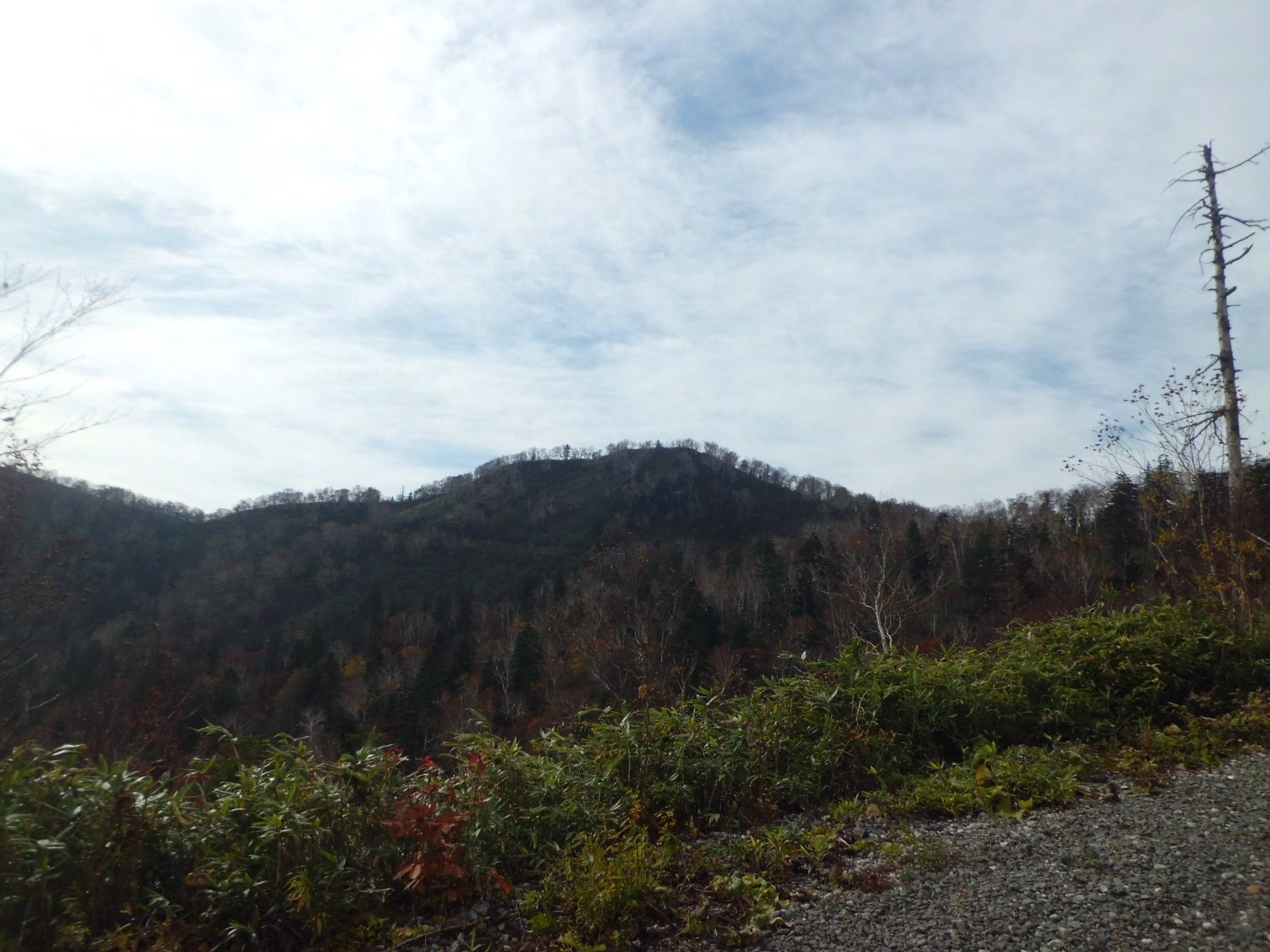 The low wooded dome of Oku-Teine-yama rises among bare trees under a pale sky
