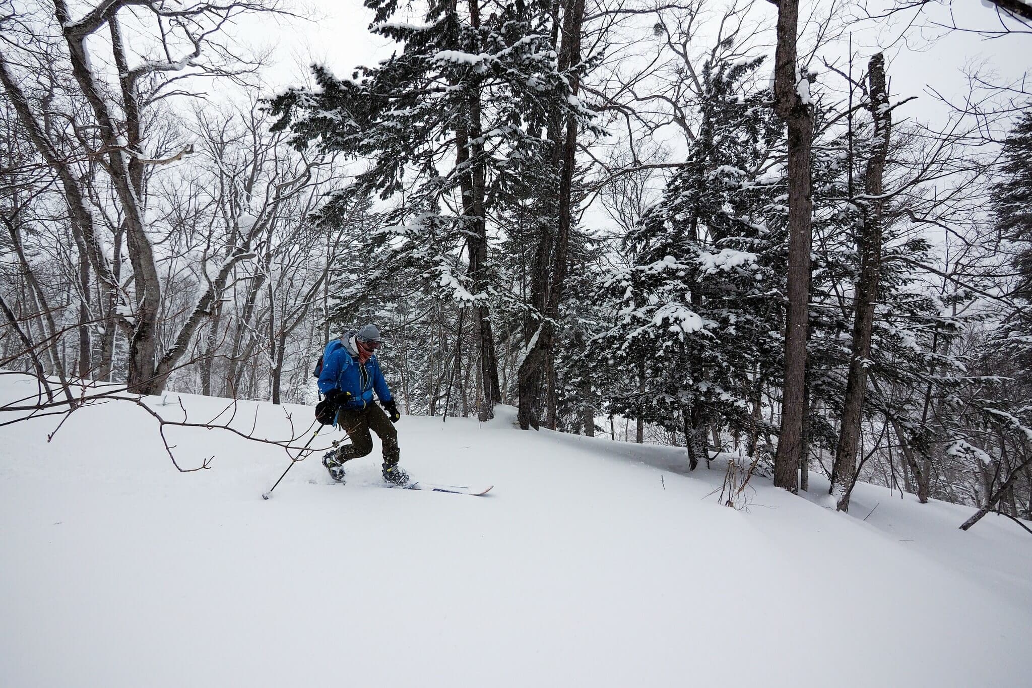A skier turns through snowy fir and birch on the slopes of Piyashiri-yama