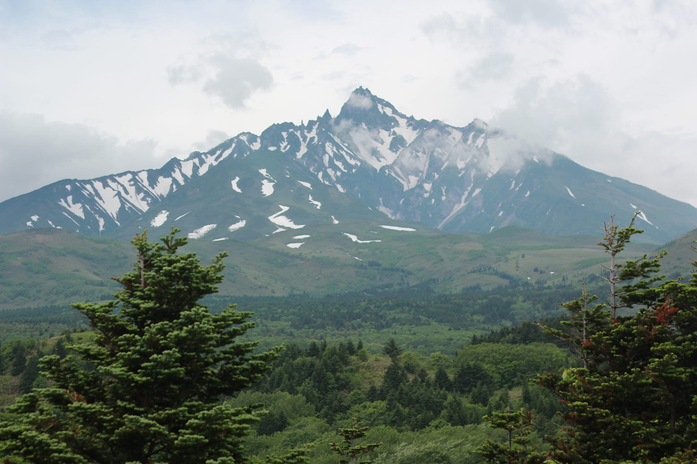Late snow lingers in the gullies of Rishiri-zan's jagged summit cone above green forest