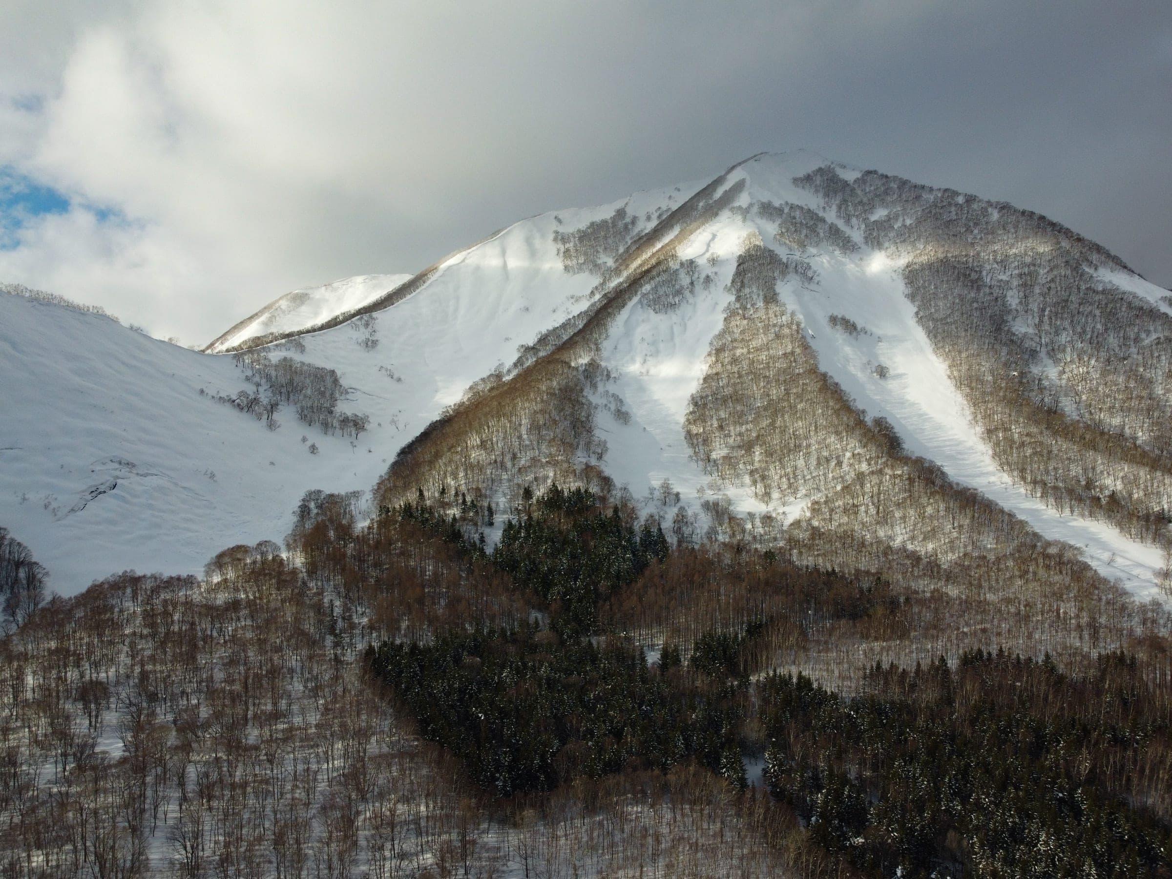 The south bowl and gullies of Shiribetsu-dake rise above the forest near Rusutsu