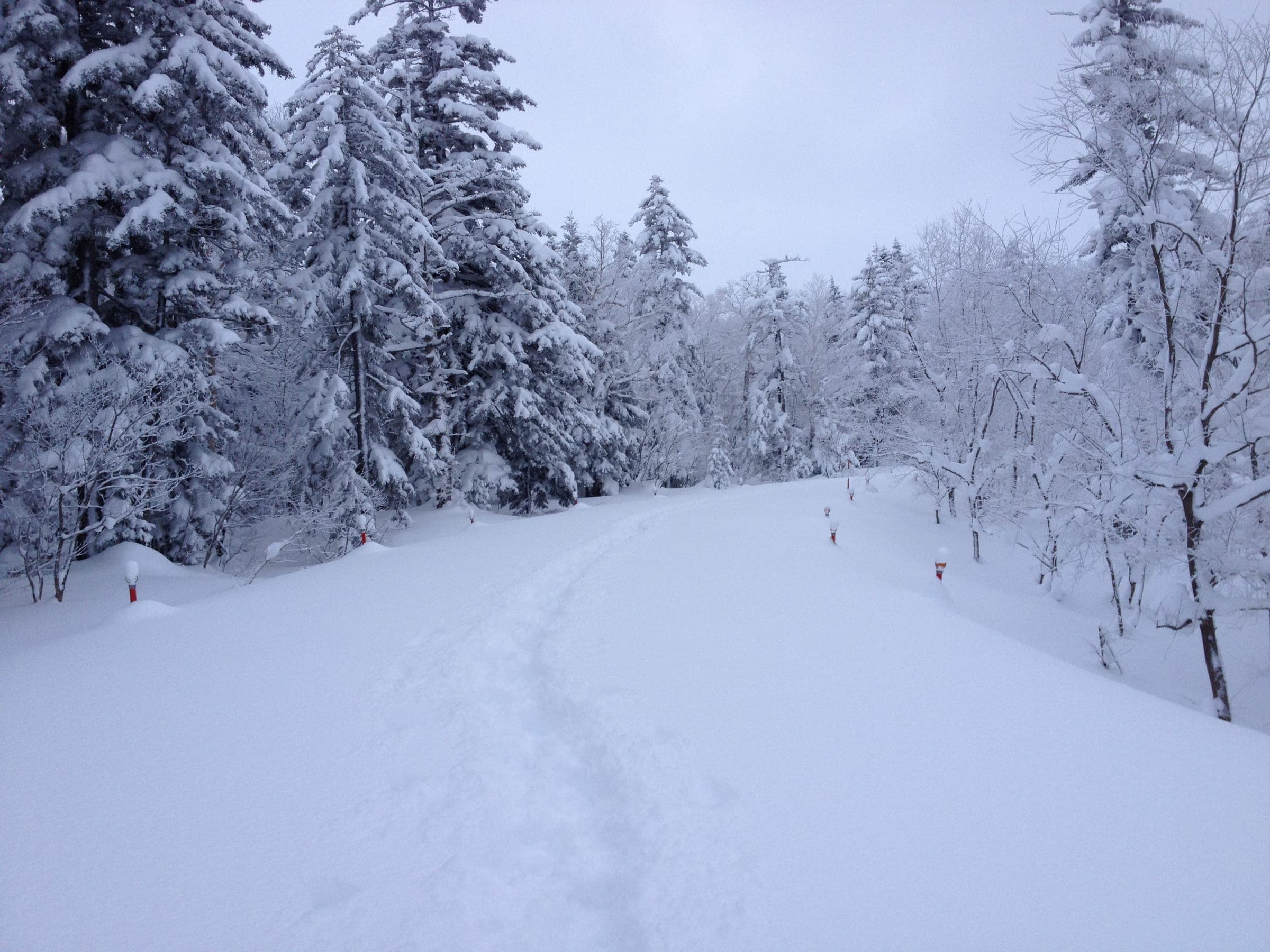 The snowbound Tokachidake Skyline road runs through rime-covered forest toward the trailheads