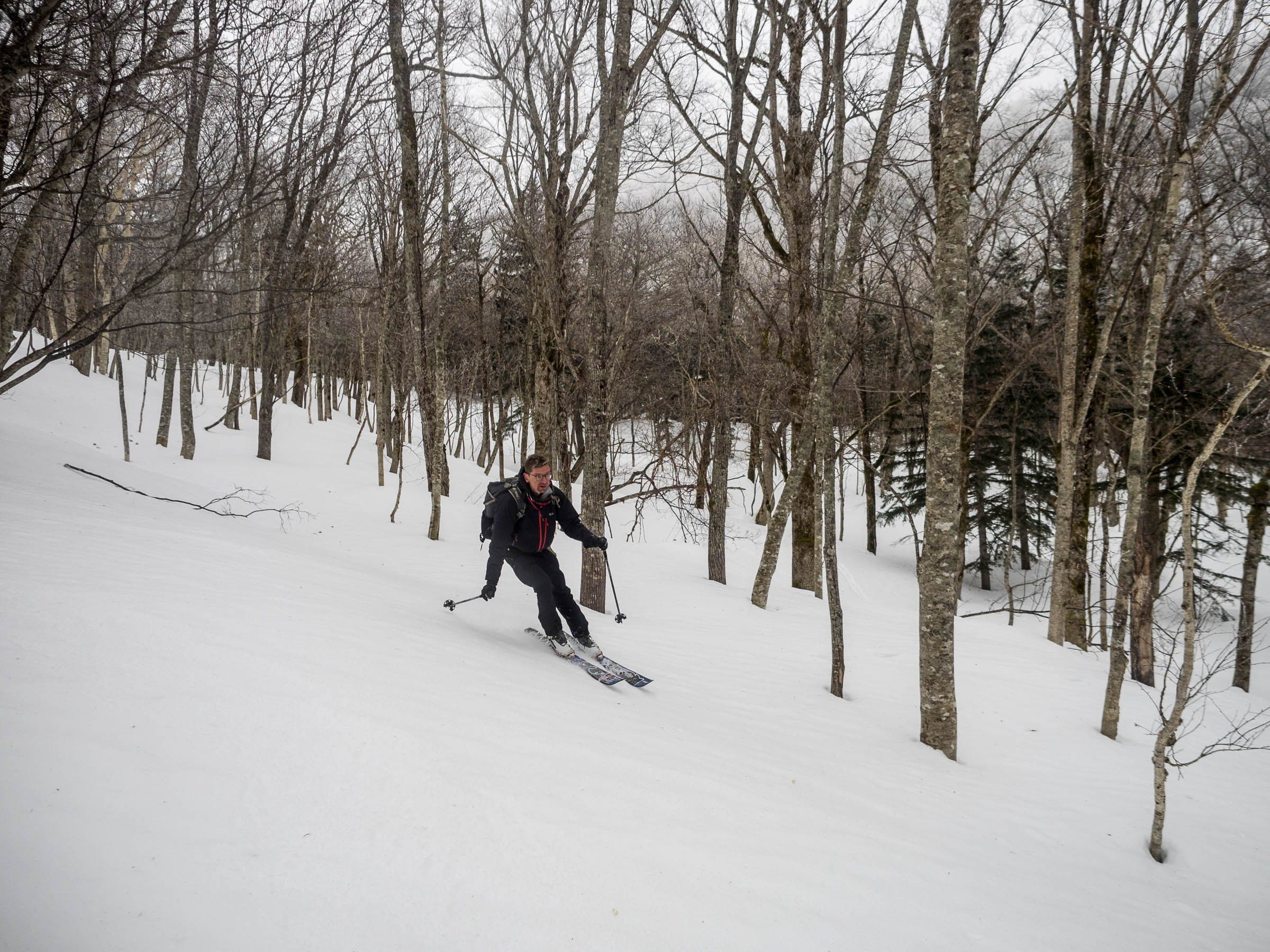 A skier weaves through bare hardwood forest on the Shuen Ridge of Unabetsu-dake